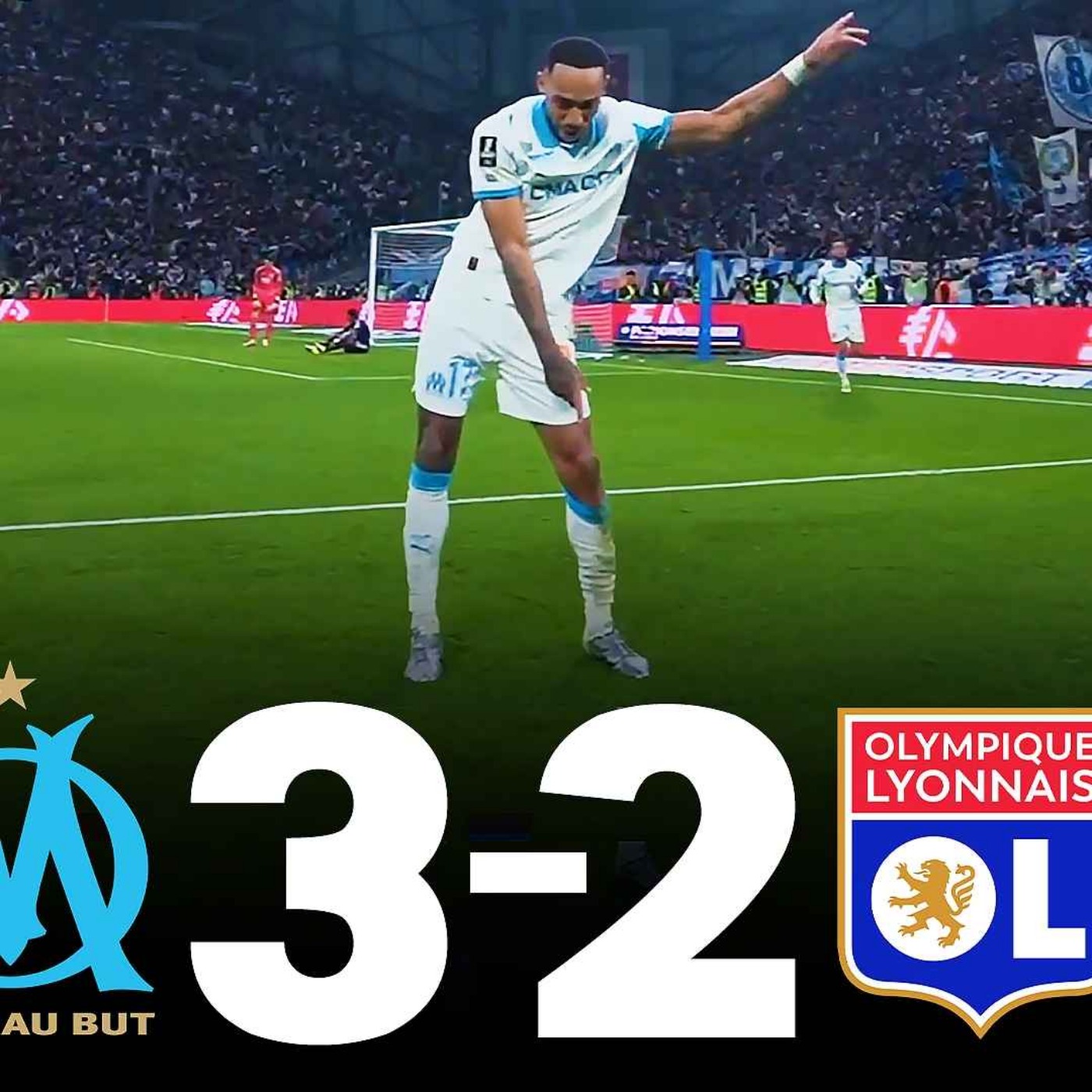 Wiloo -  😣😣😣😣😣😣😣😣