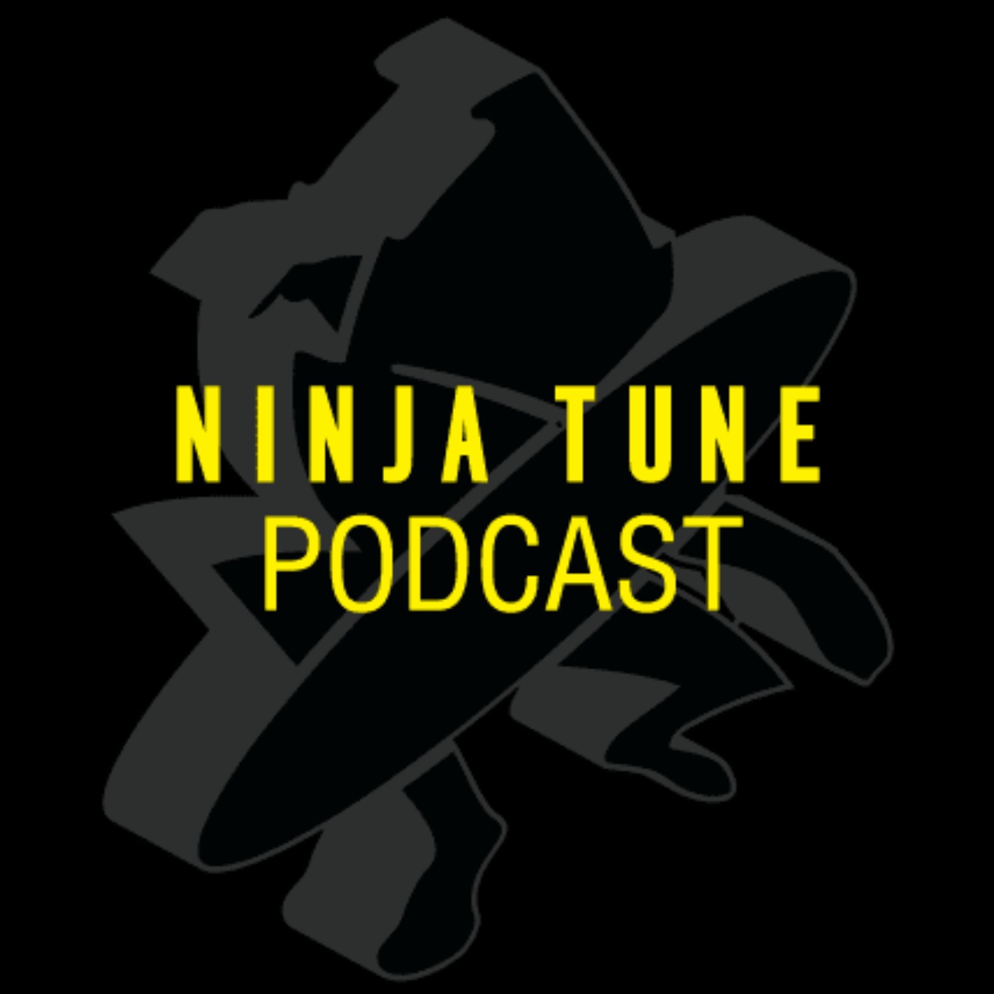 cover art for Ninja Tune Podcast - PVA