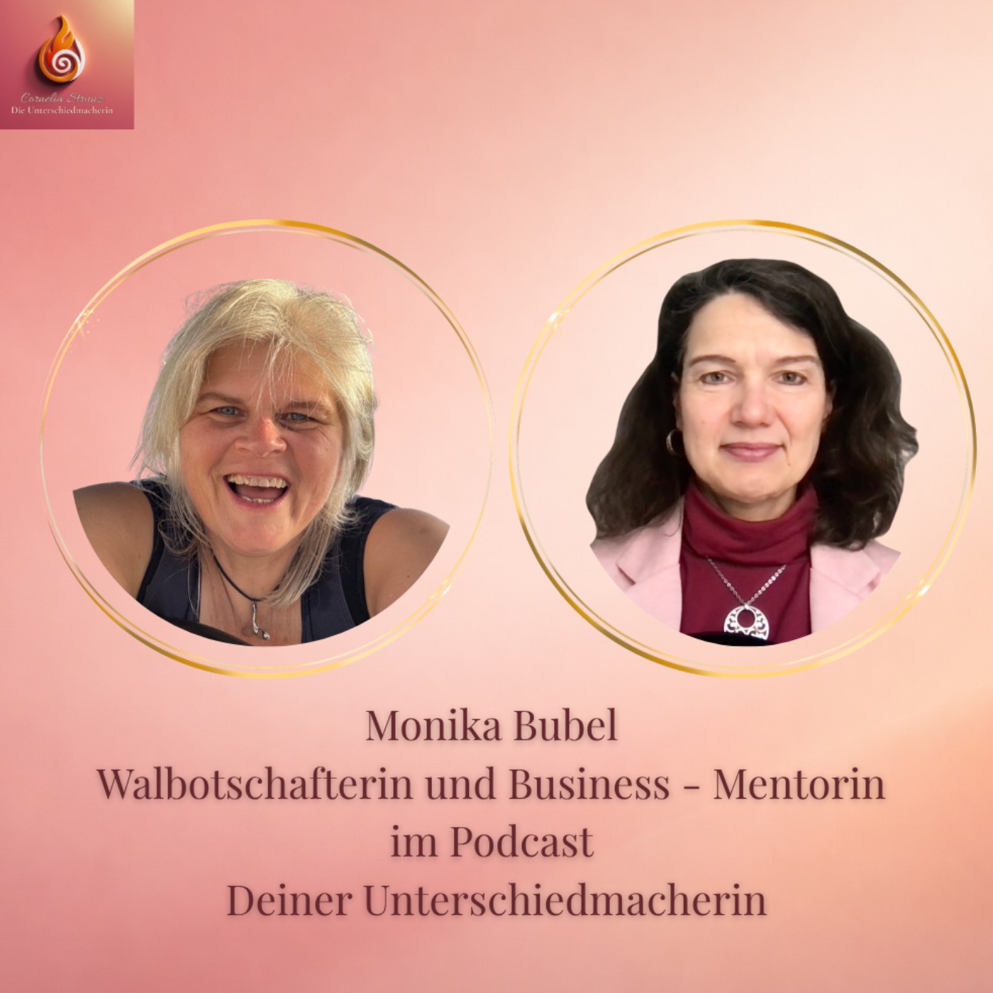 #111 WAS HABEN WALE UND DELFINE MIT SELBSTVERTRAUEN ZU TUN? mit Monika Bubel episode artwork