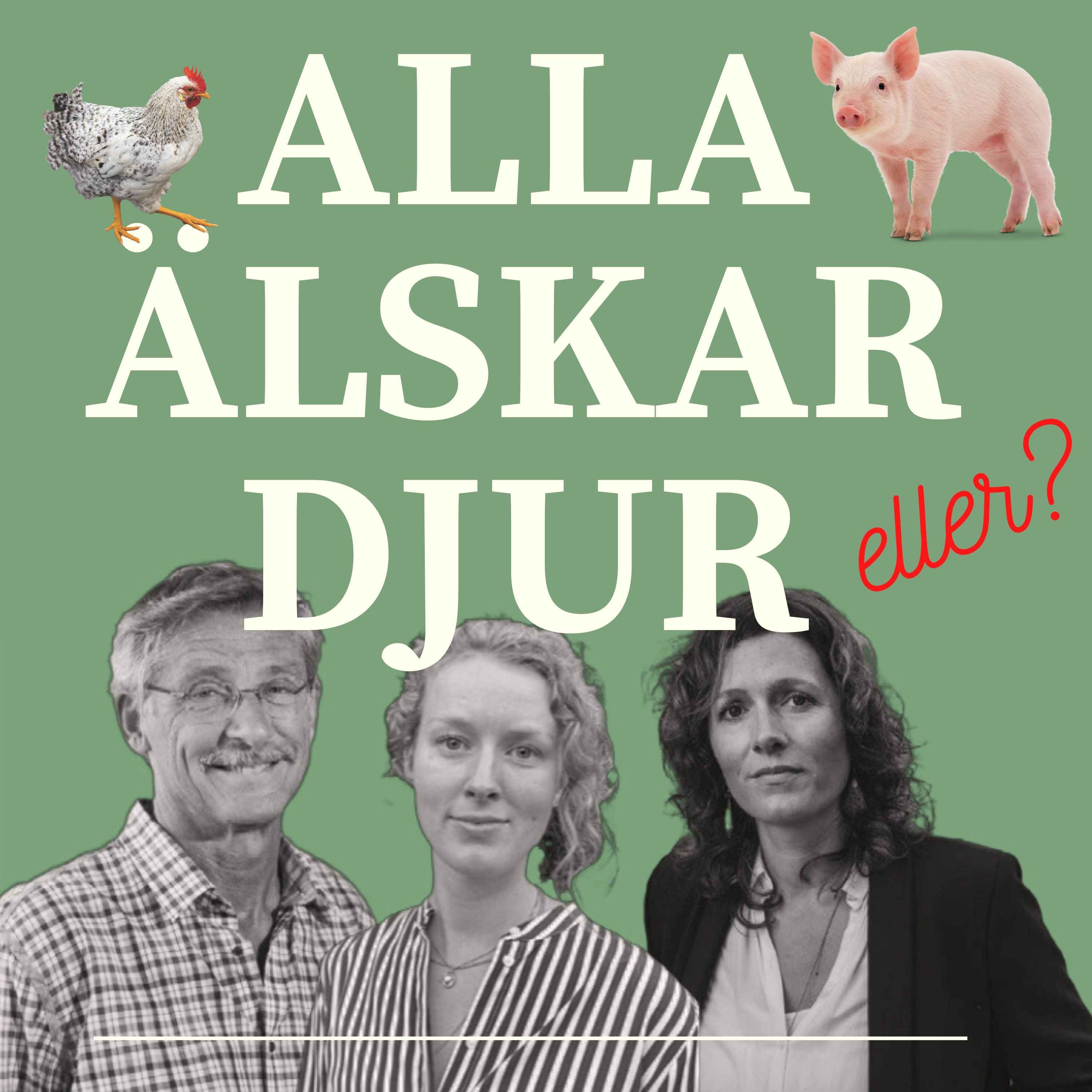 cover art for 3. Ing-Marie och schimpanserna i Furuviksparken