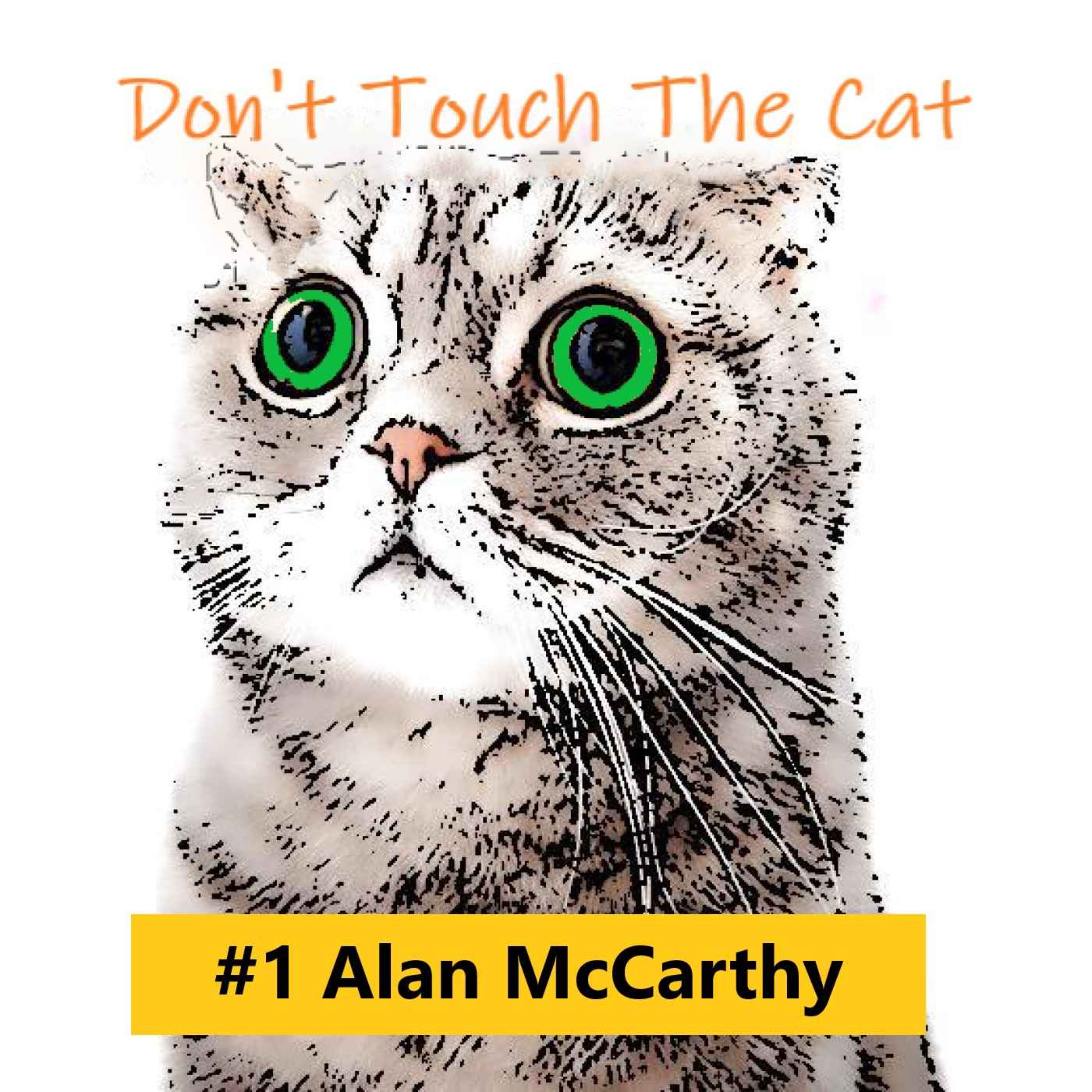 Don\'t touch the cat