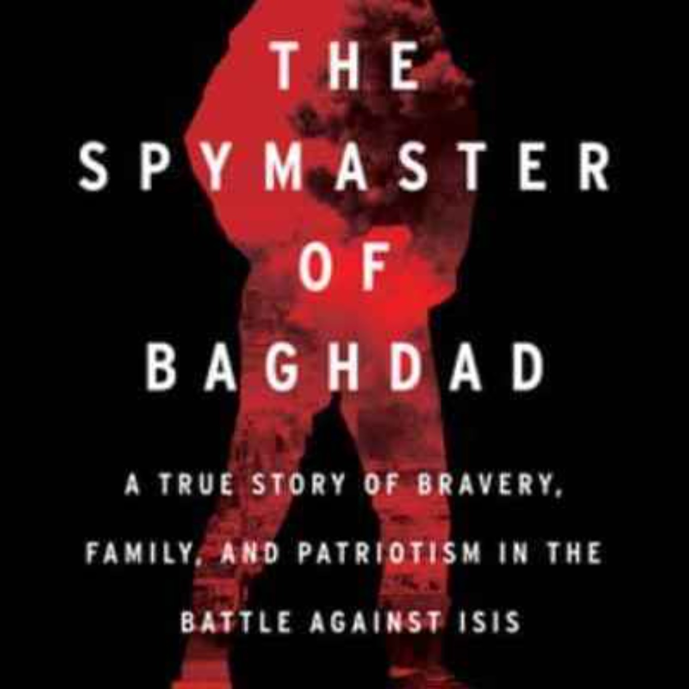 Taking down the Islamic State