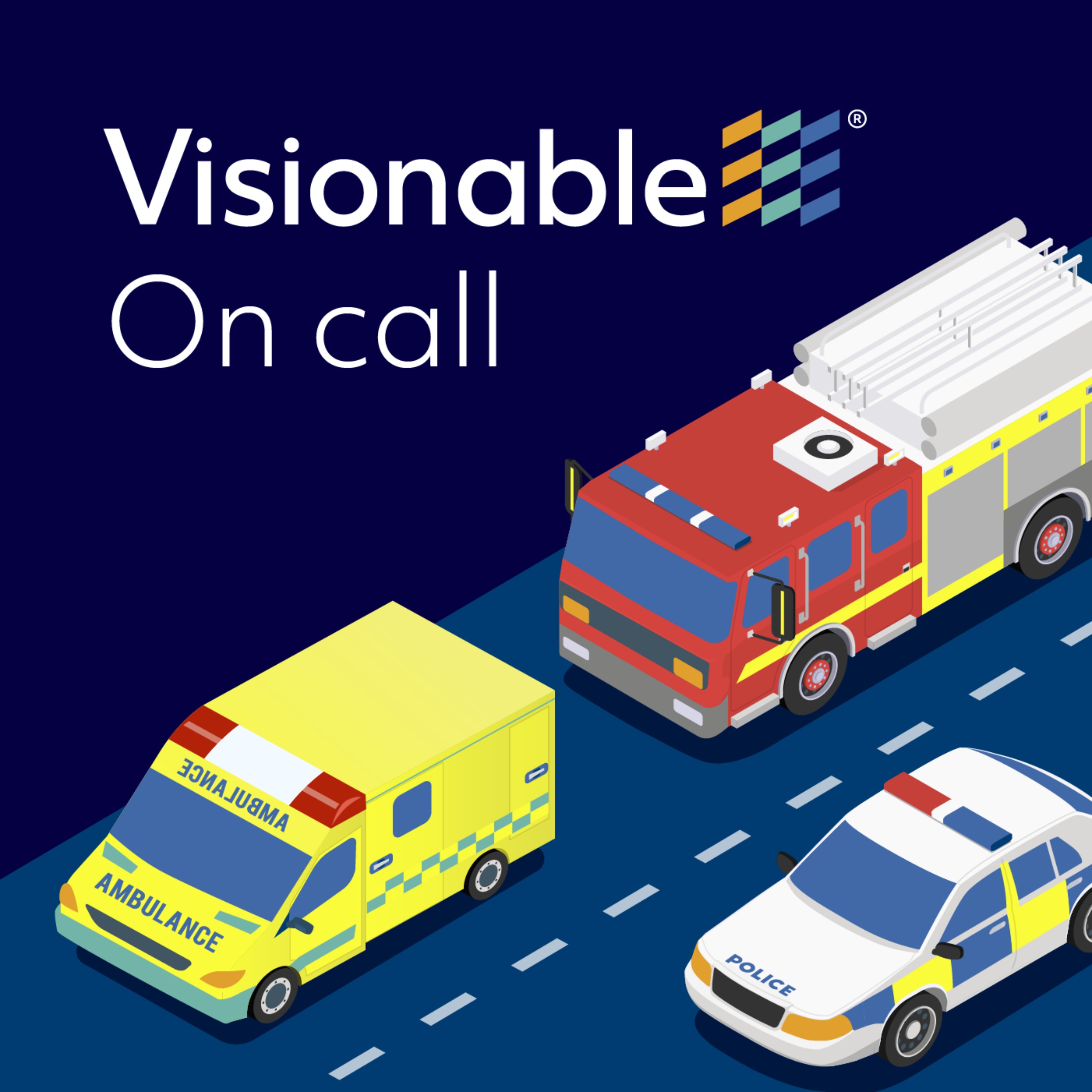 cover art for Visionable: On call with Professor Fraser Birrell