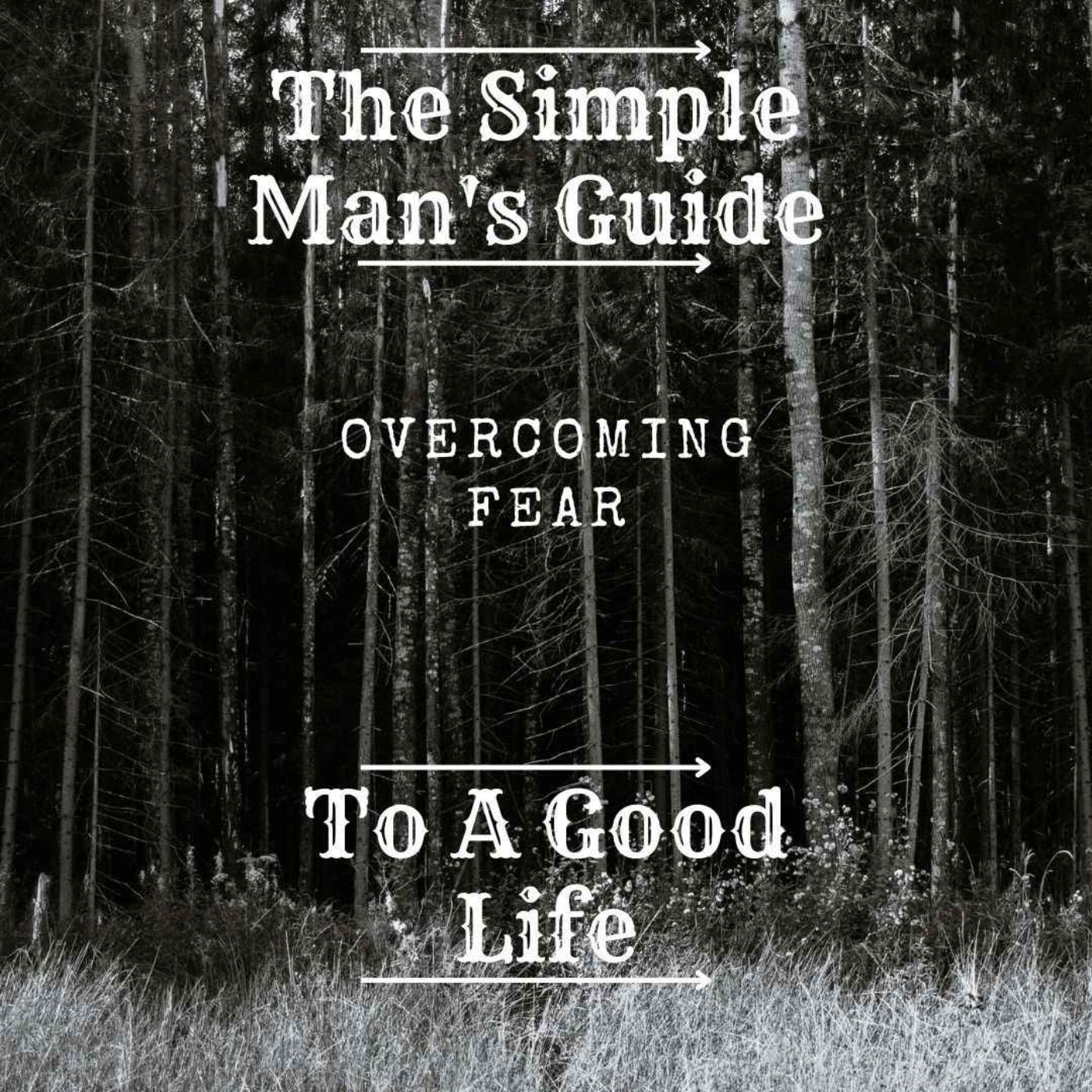 Overcoming Fear episode artwork