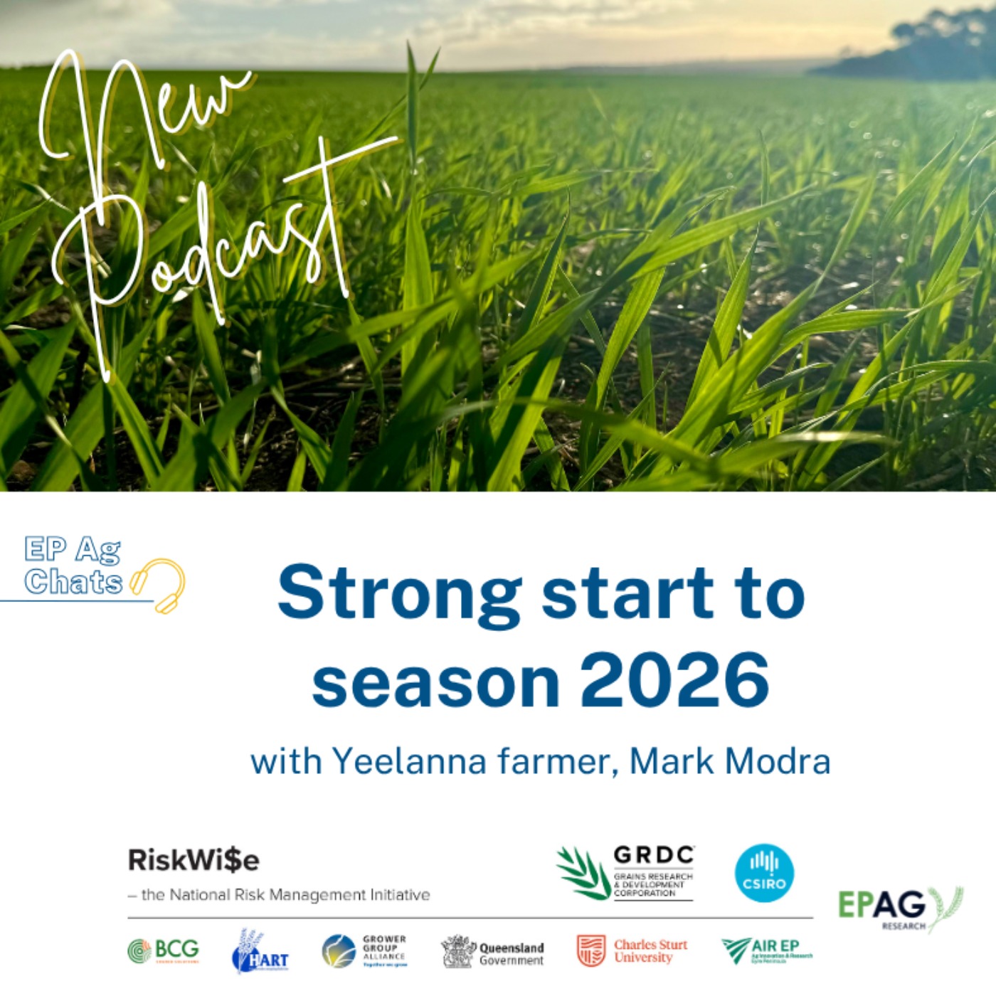 Riskwise Podcast - Season update 2026 - Grower Reflections with Mark Modra episode artwork