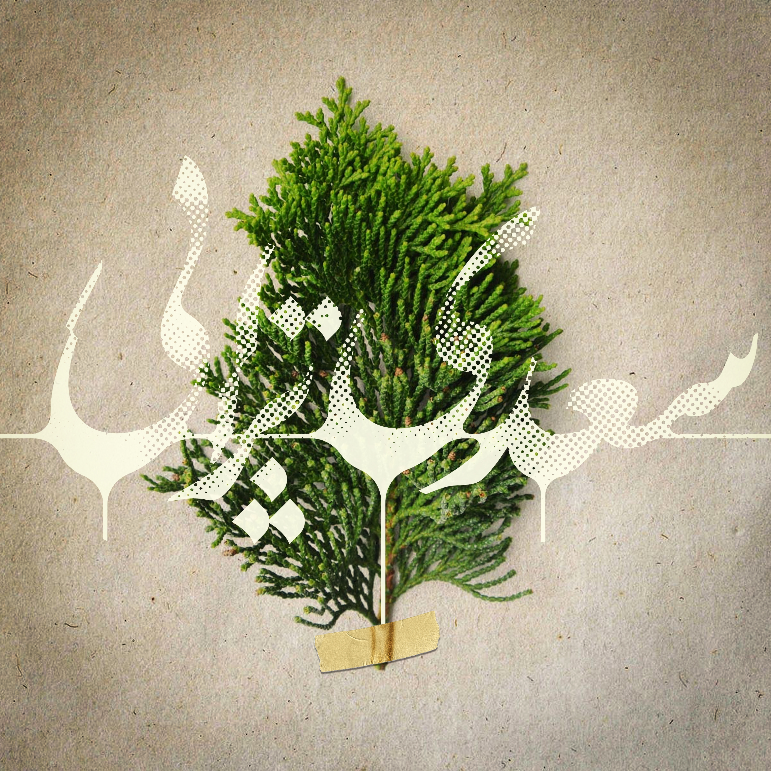 سعدی تراپی