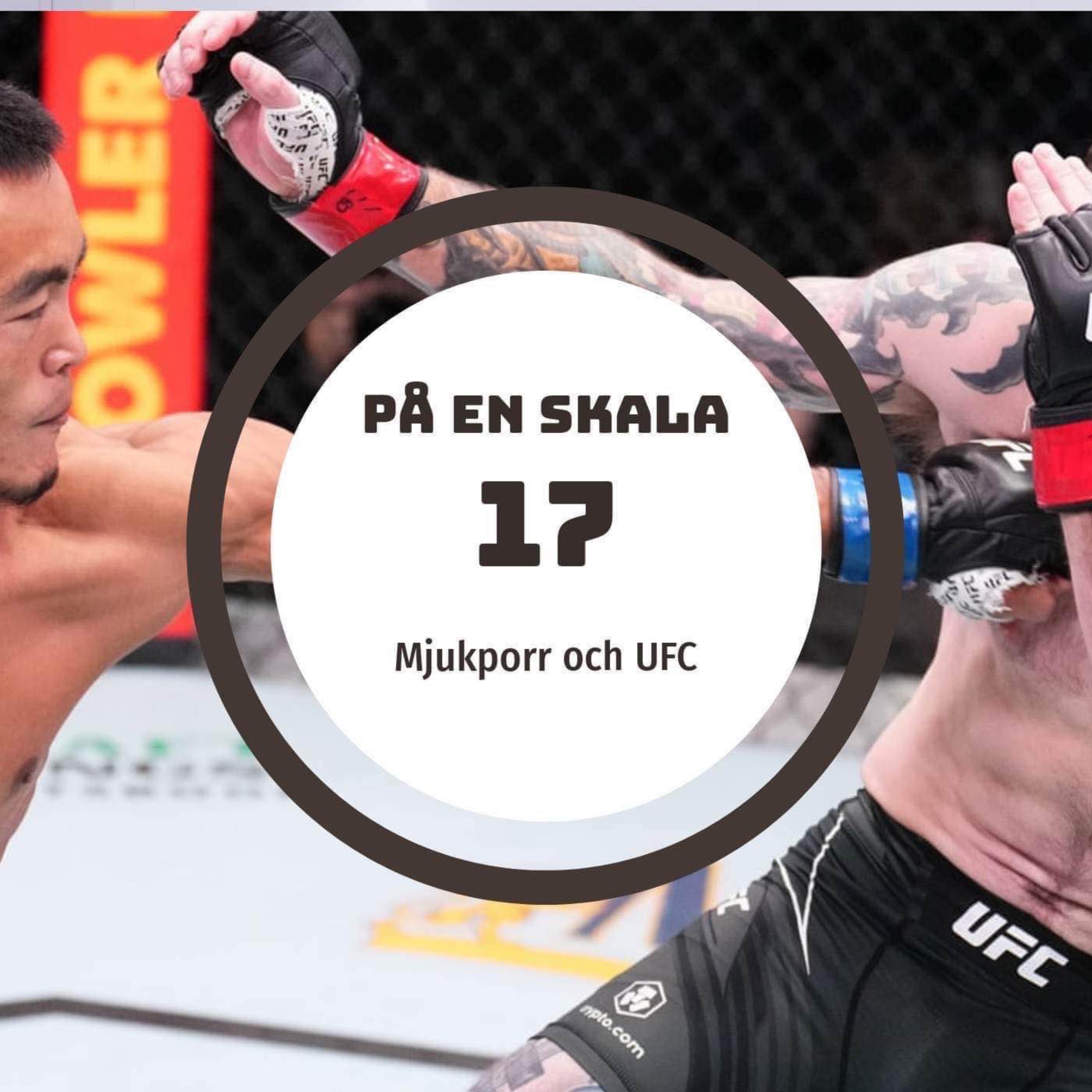 Mjukporr och UFC episode artwork