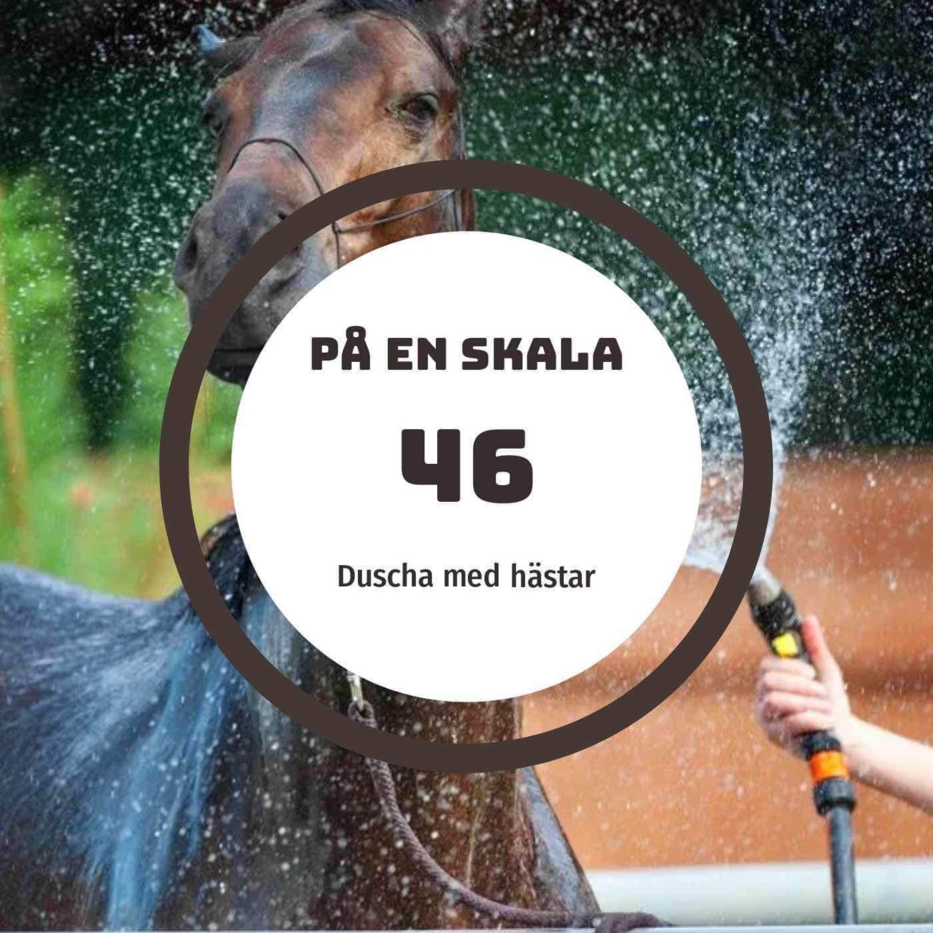 Duscha med hästar episode artwork