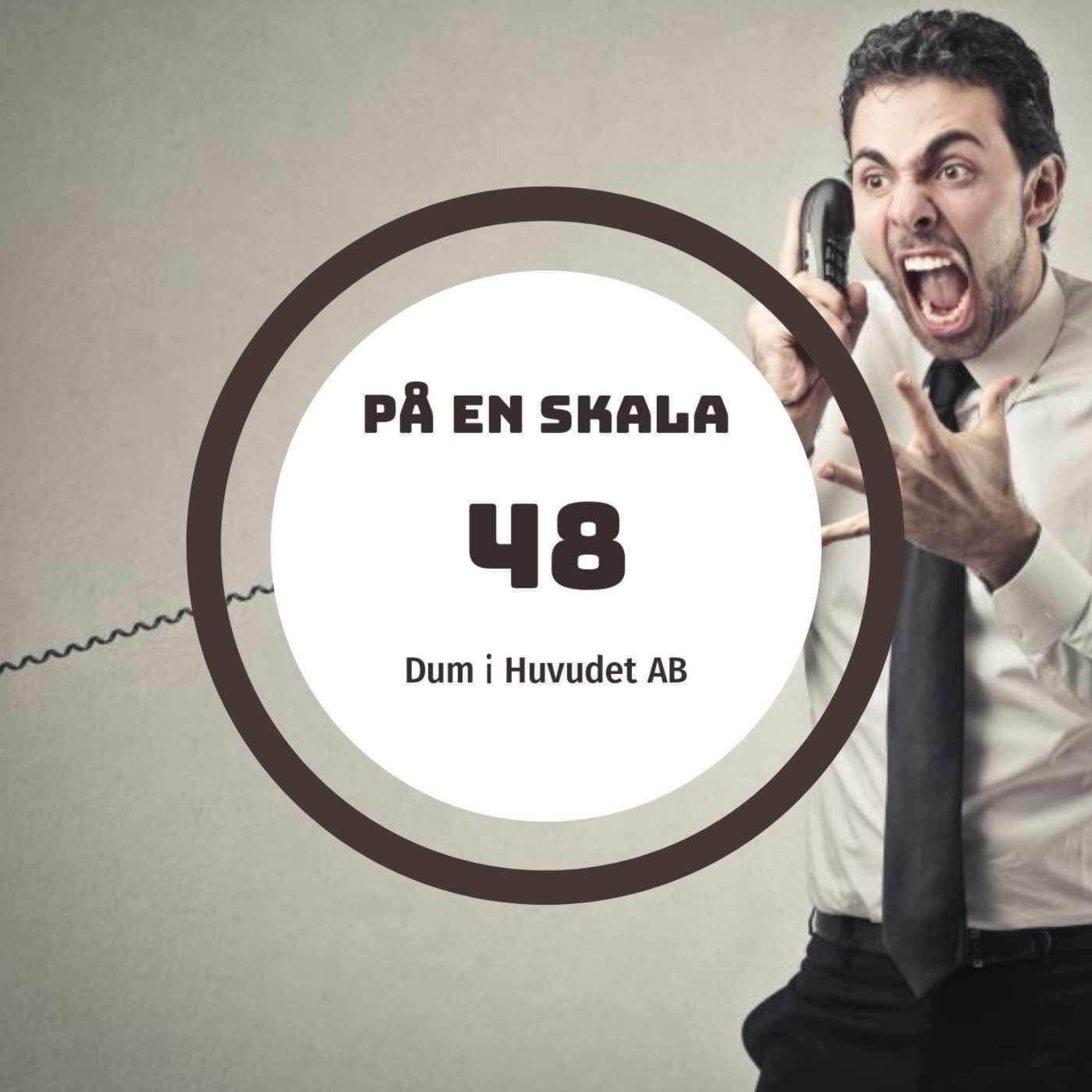 Dum i Huvudet AB episode artwork