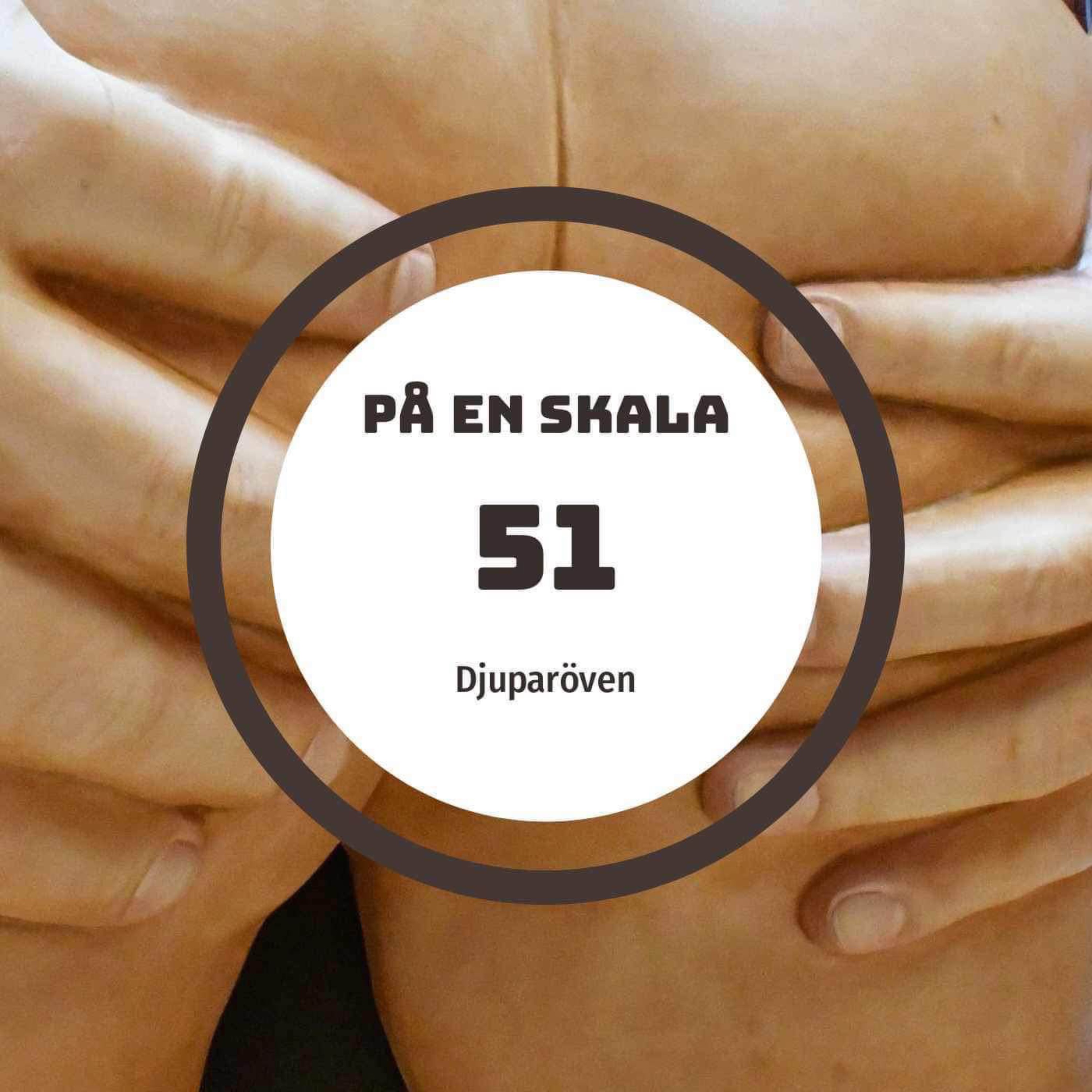 Djuparöven episode artwork
