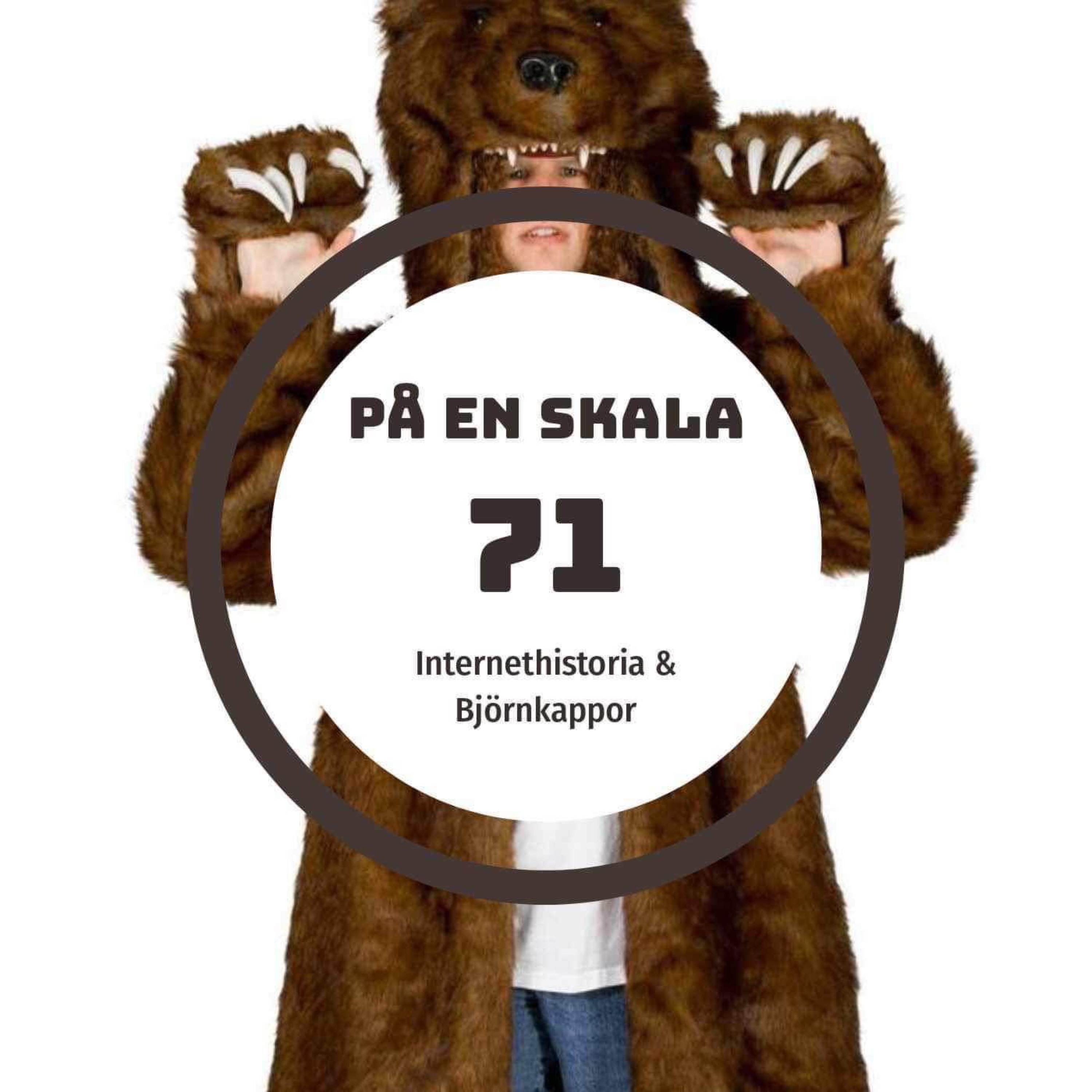 Internethistoria & Björnkappor episode artwork