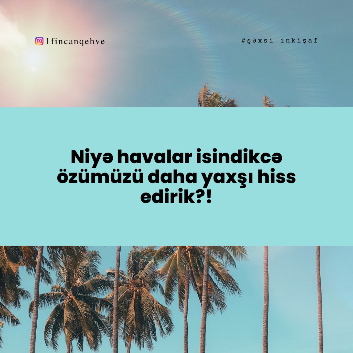 1 Fincan Qəhvə