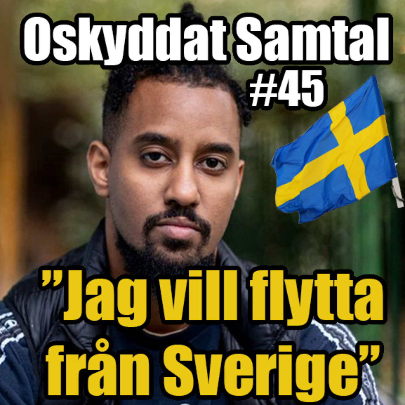 45. Fly Sverige, Ortensvenska & Porr - Luay Mohageb