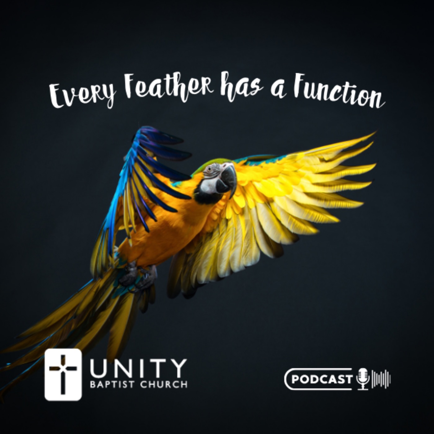 Every Feather has a Function