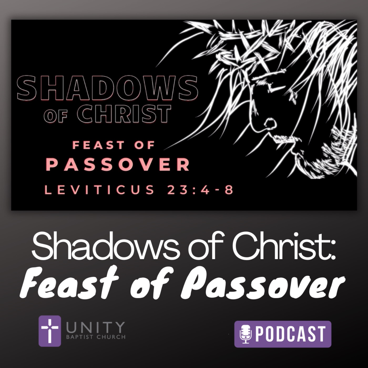 cover art for Shadows of Christ: Feast of Passover