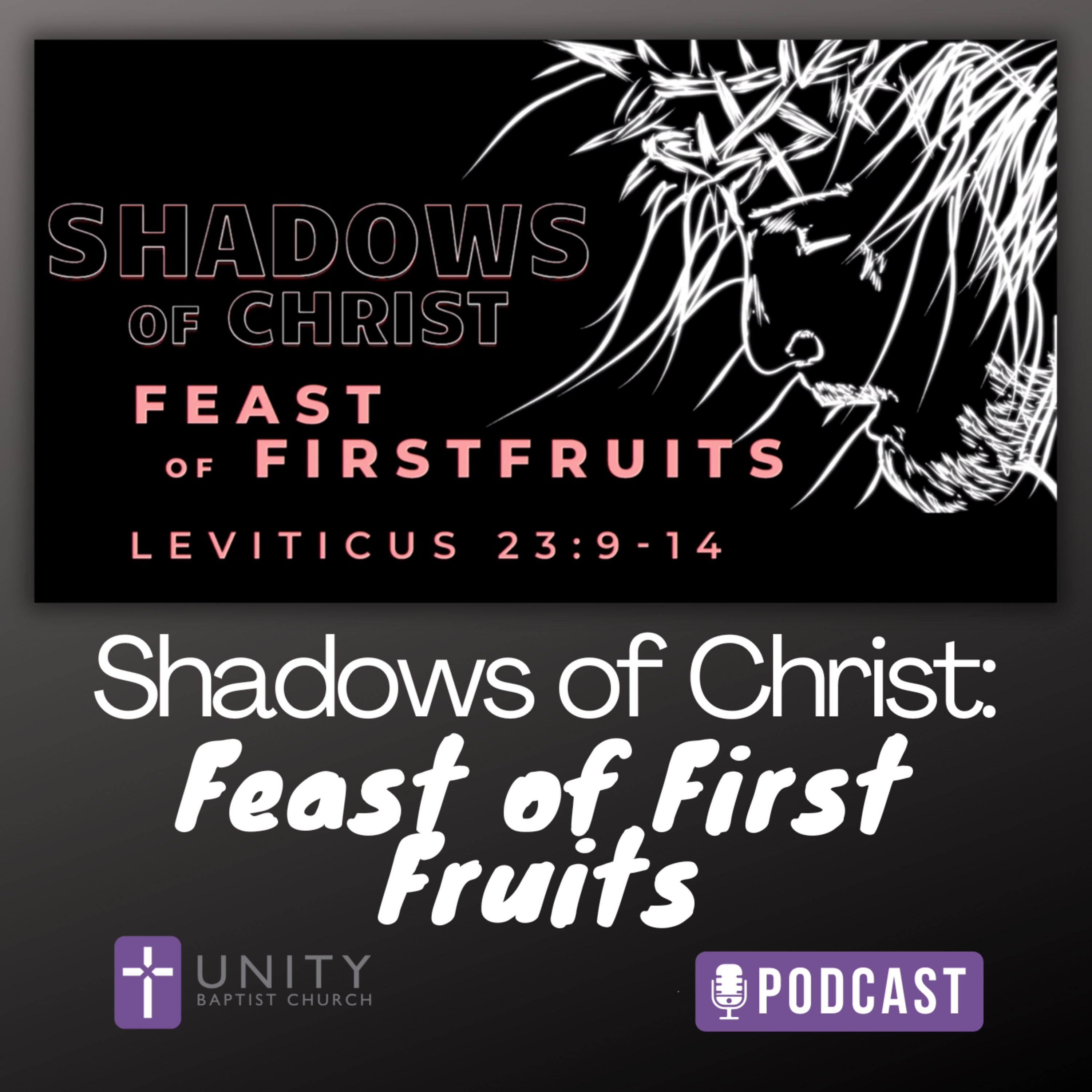 cover art for Shadows of Christ: Feast of First Fruits