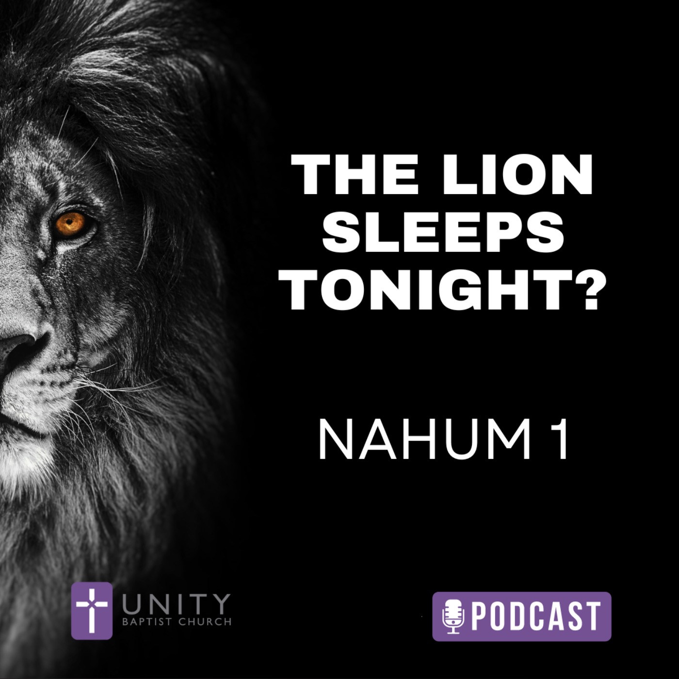 cover art for Nahum: The Lion Sleeps Tonight?
