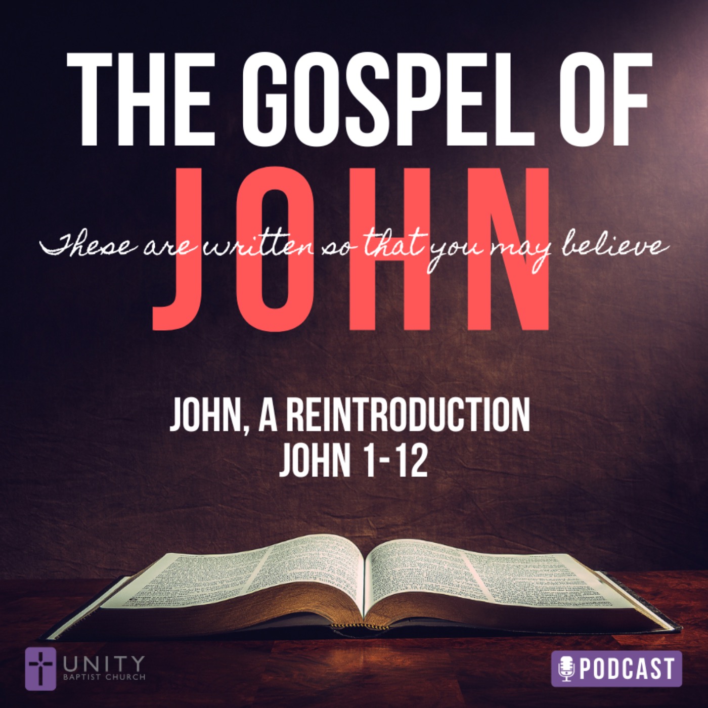 The Gospel of John: John, A Reintroduction