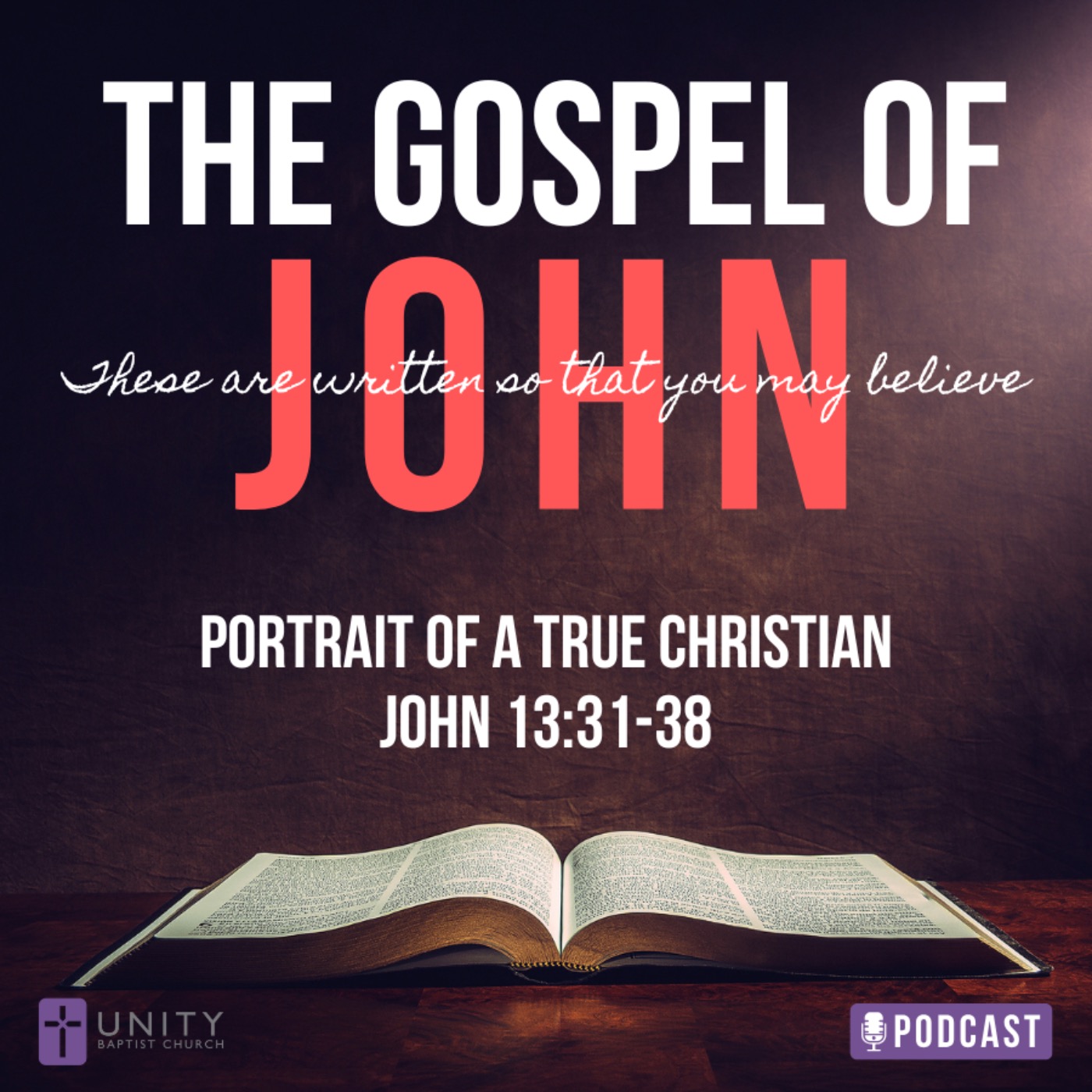 The Gospel of John: Portrait of a True Christian