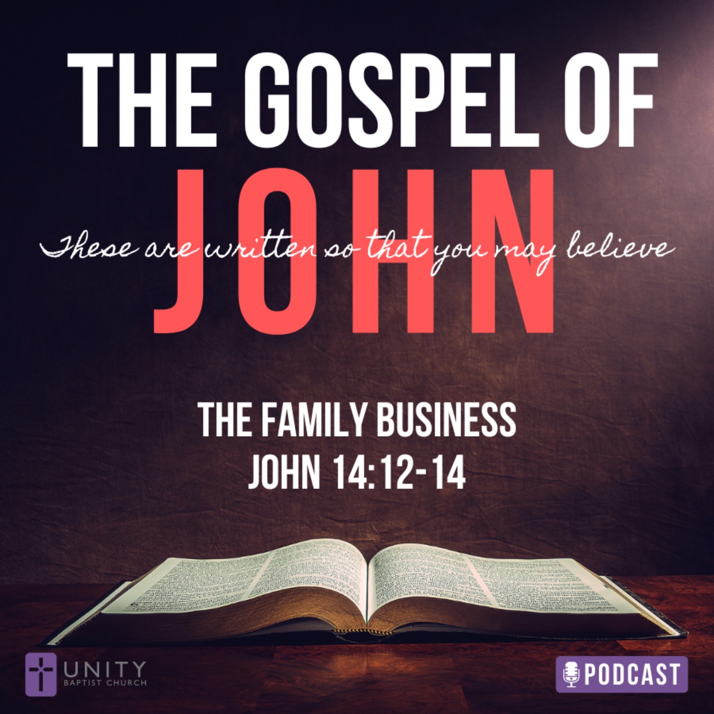 The Gospel of John: The Family Business