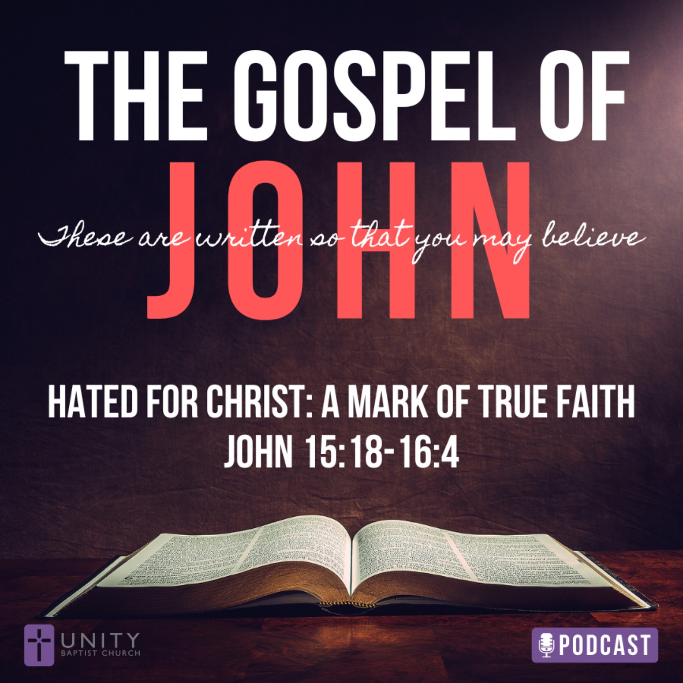 The Gospel of John: Hated for Christ: A Mark of True Faith