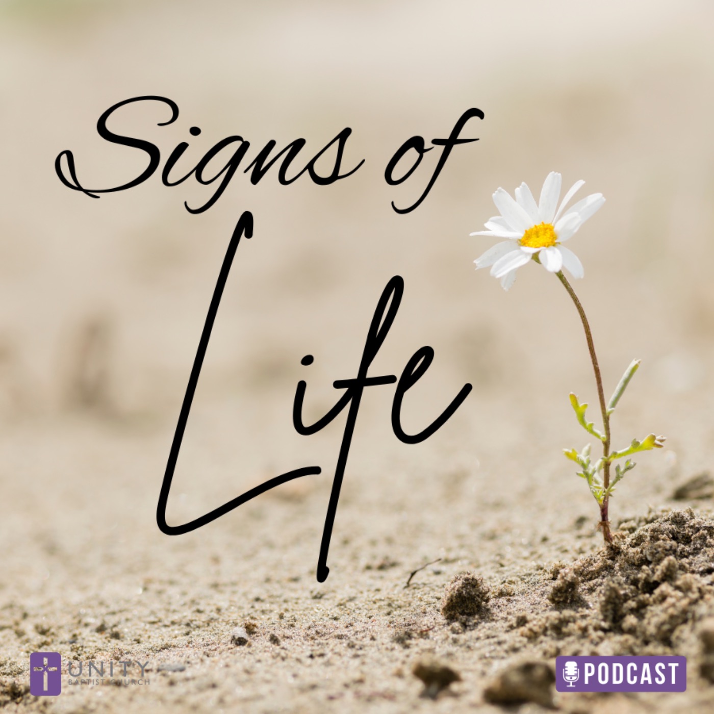 Easter: Signs of Life