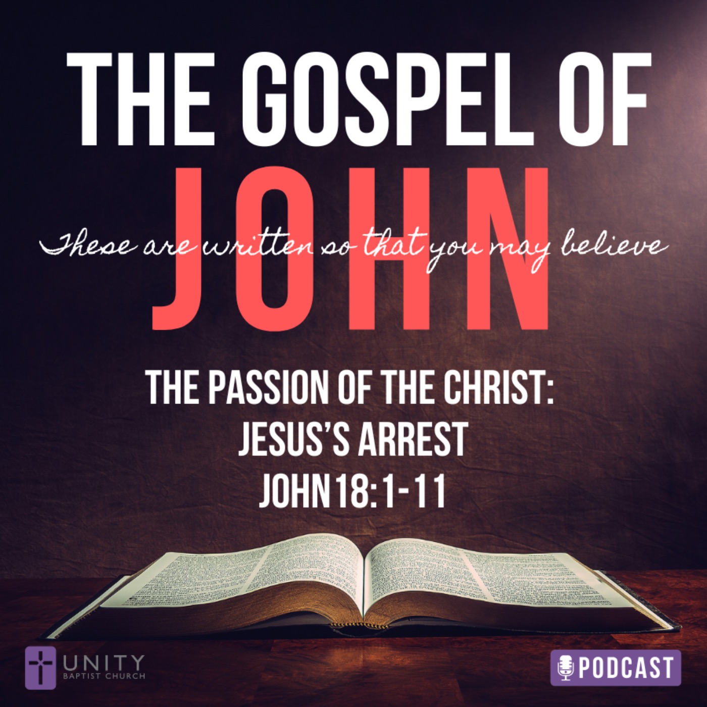 The Gospel of John Series: The Passion of the Christ: Jesus's Arrest