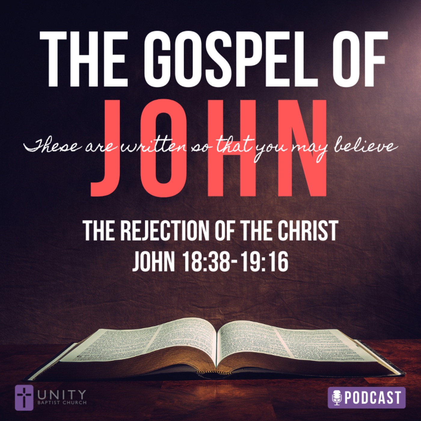 The Gospel of John Series: The Rejection of the Christ