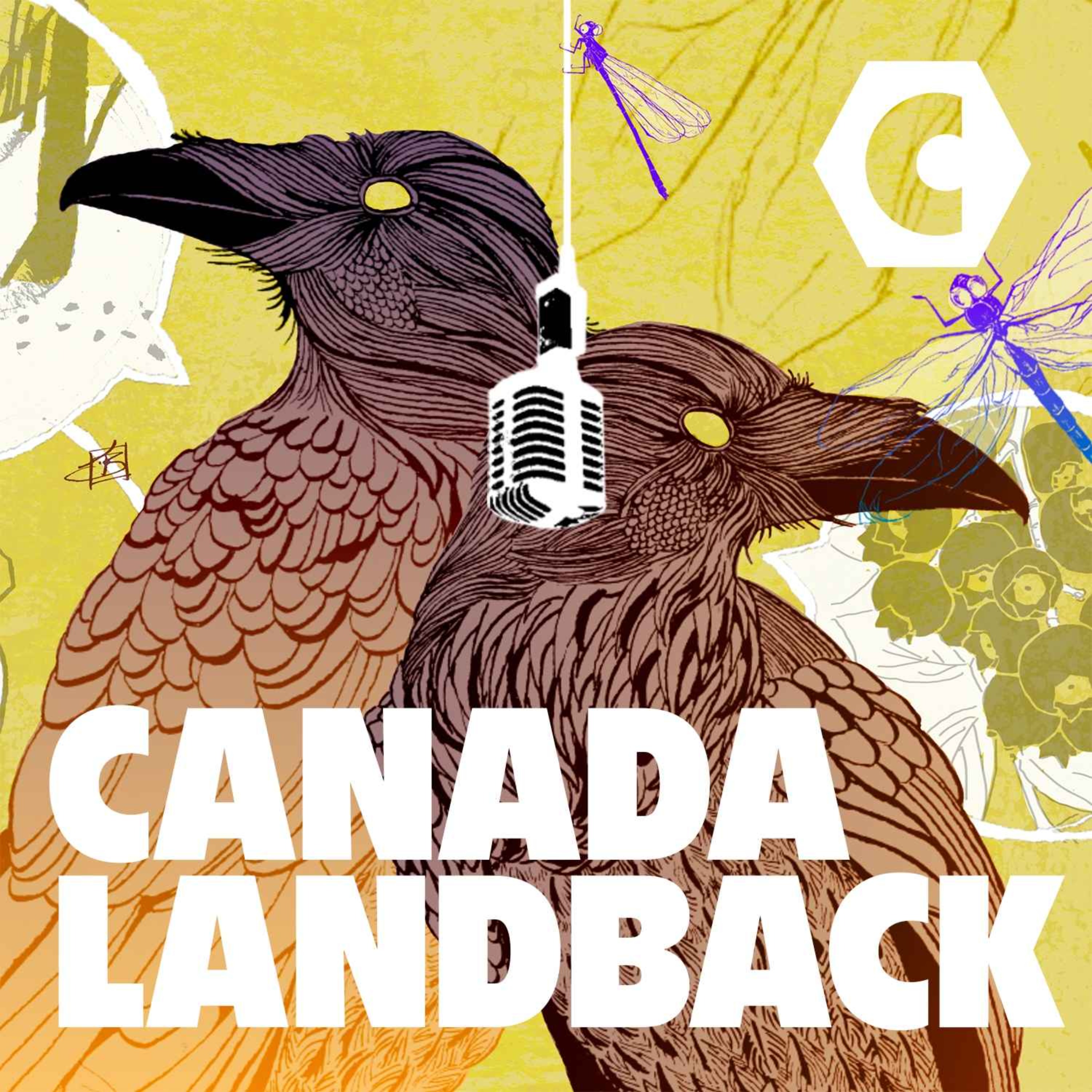 cover art for (canadaLANDBACK) Canada Is Hoarding The Land
