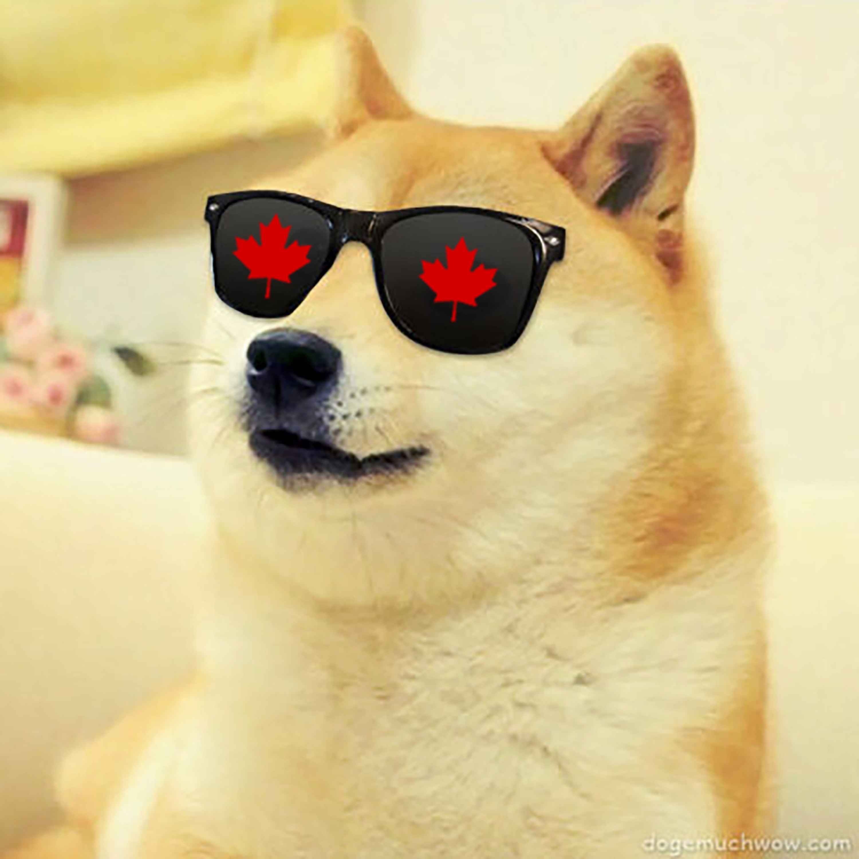 Should We Be Worried About Canadian DOGE? - podcast episode cover