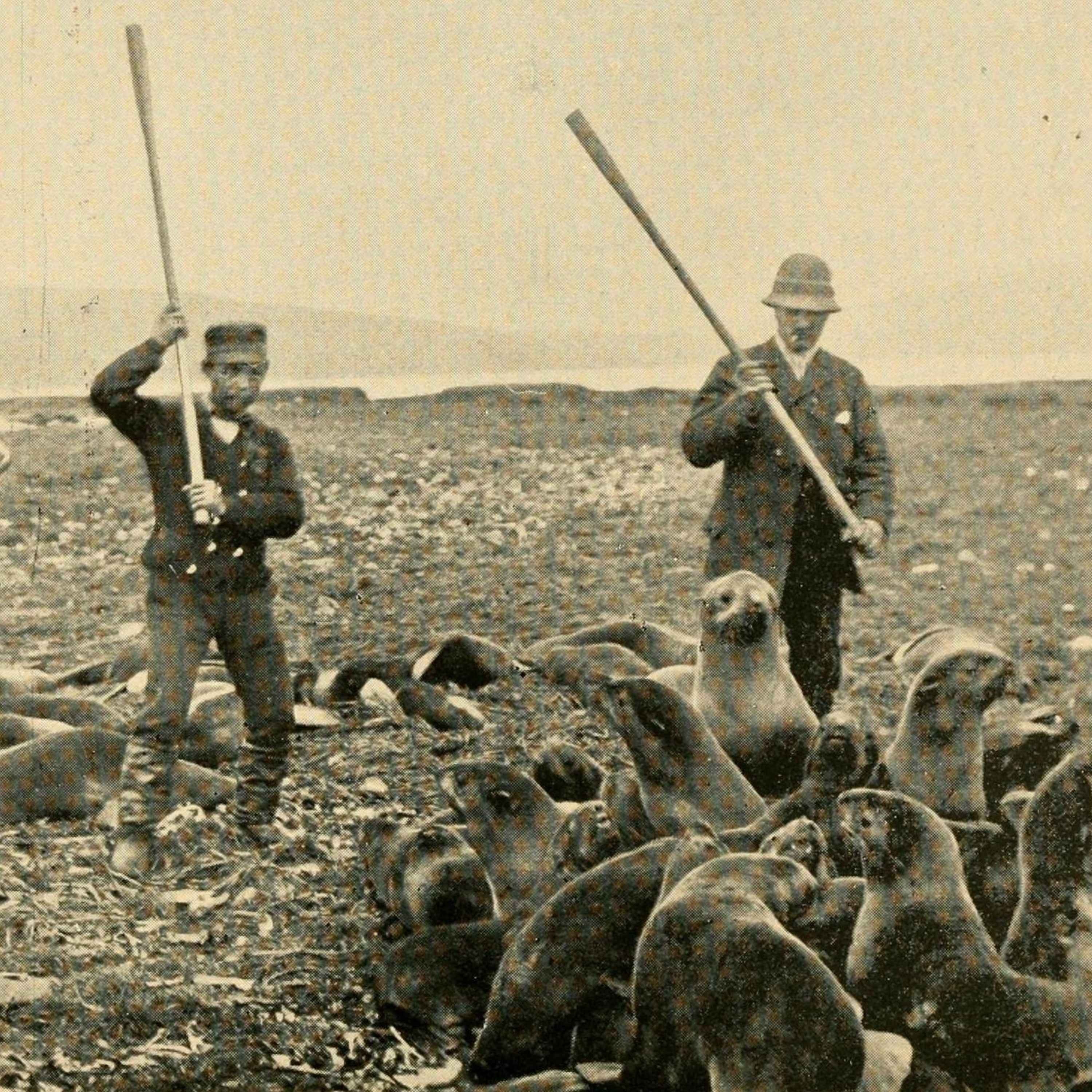 BONUS: What the Media Gets Wrong BONUS: What the Media Gets Wrong