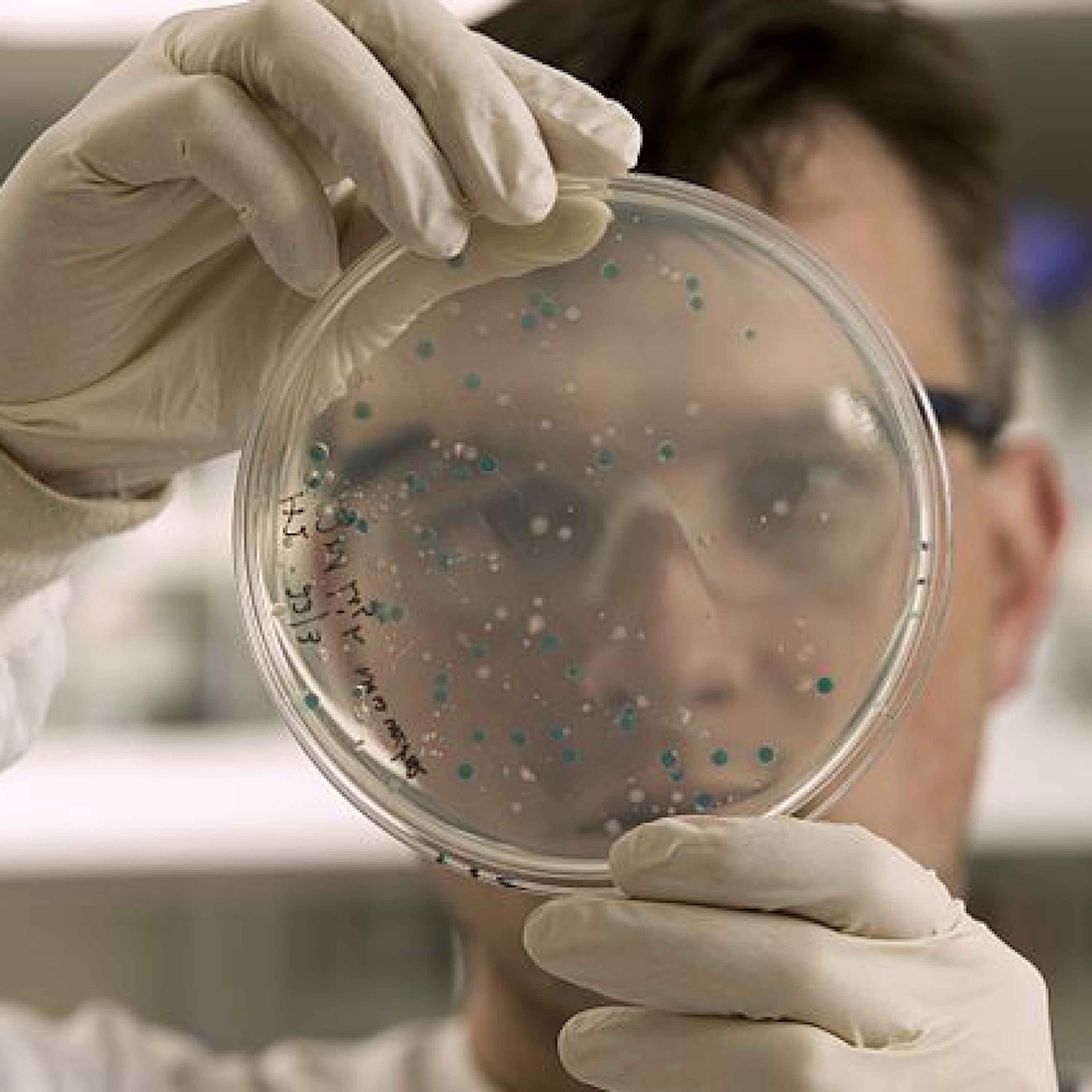 Carney Cuts The Scientists Who Test For Toxins