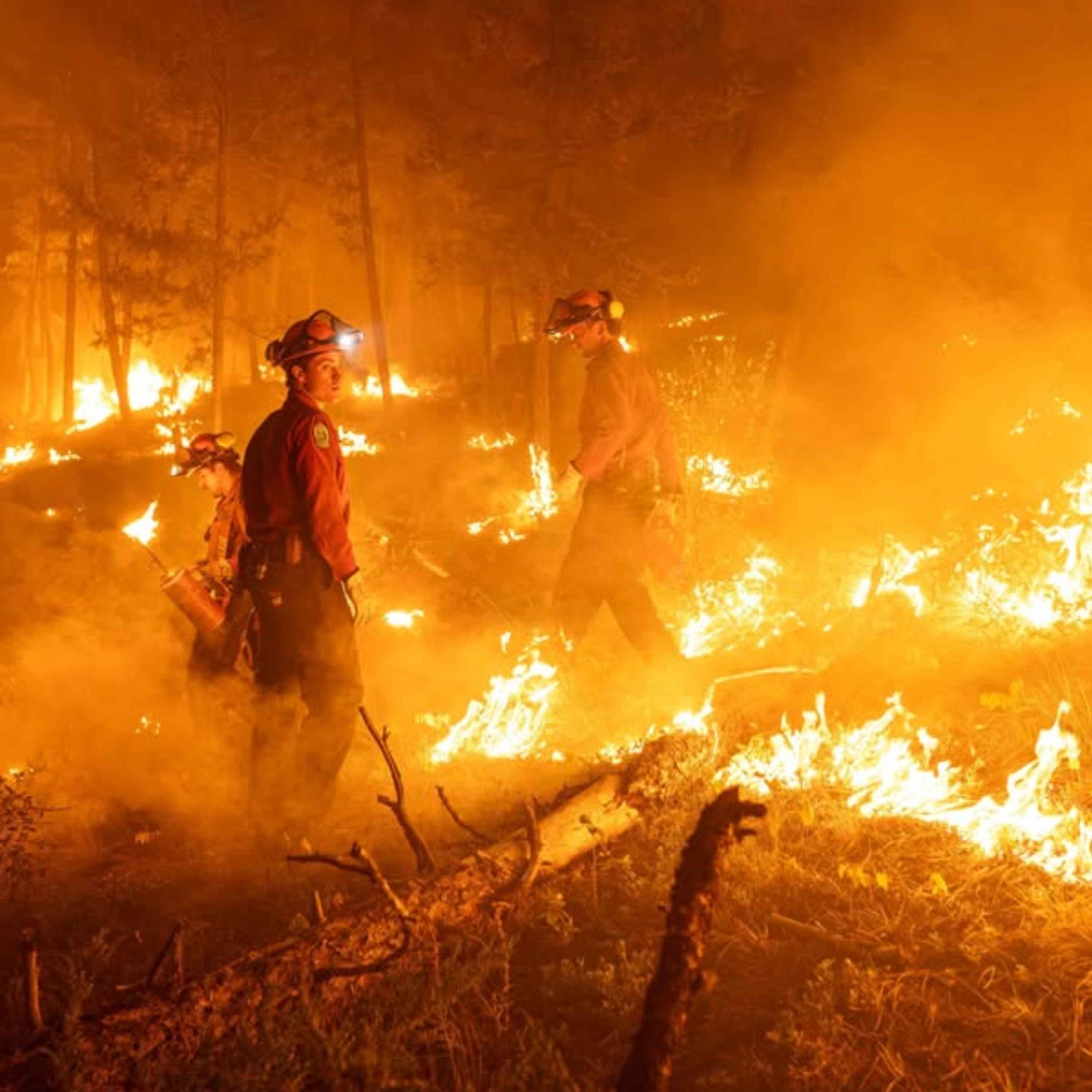 British Columbia is Burning