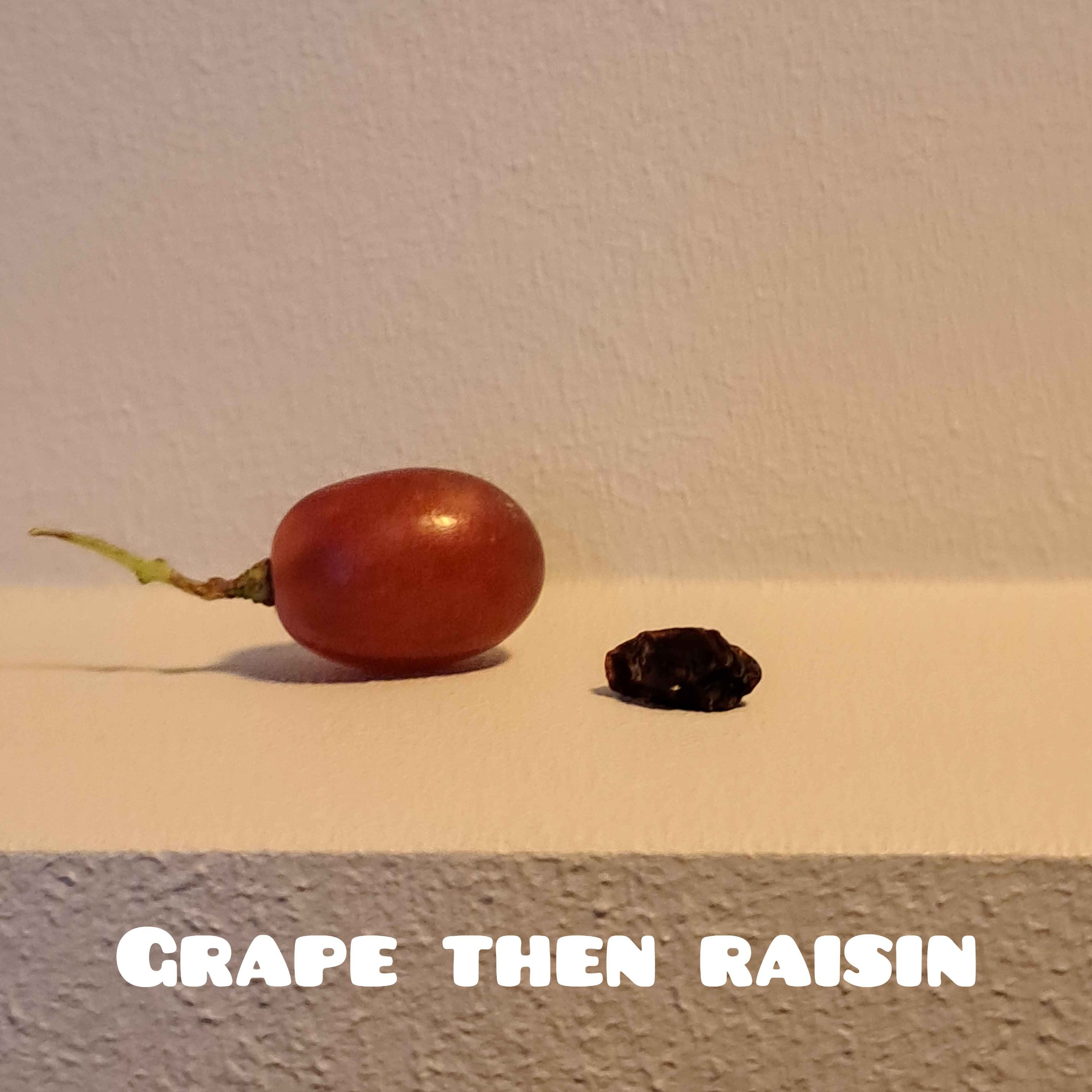 Grape then raisin episode artwork