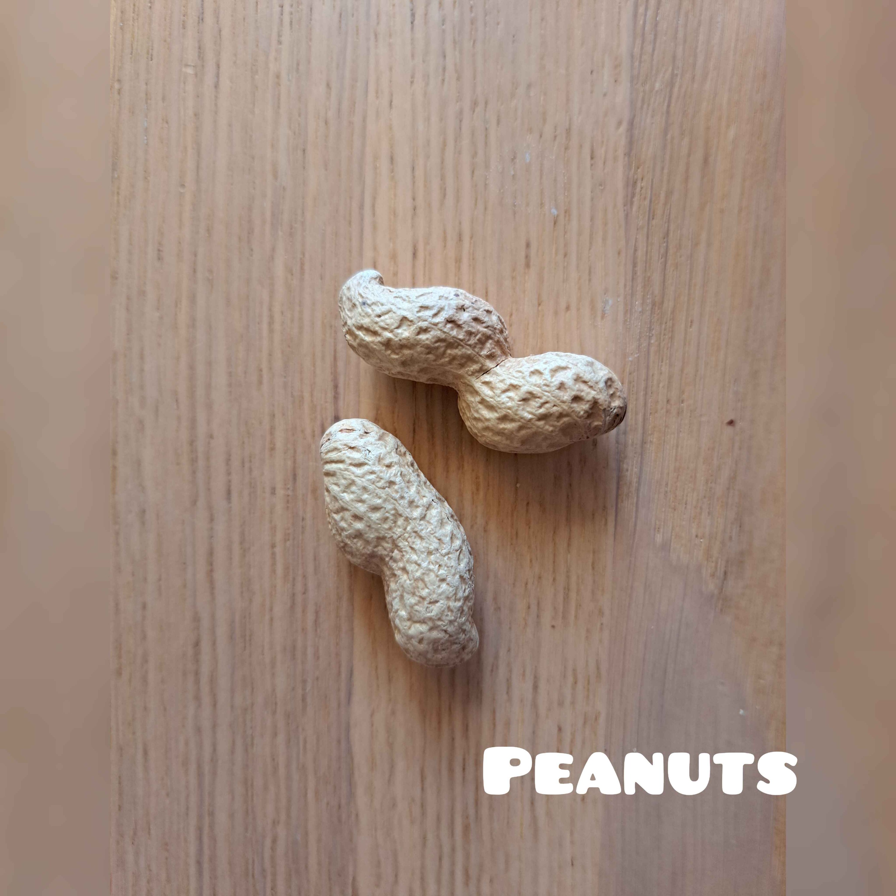 Peanuts episode artwork