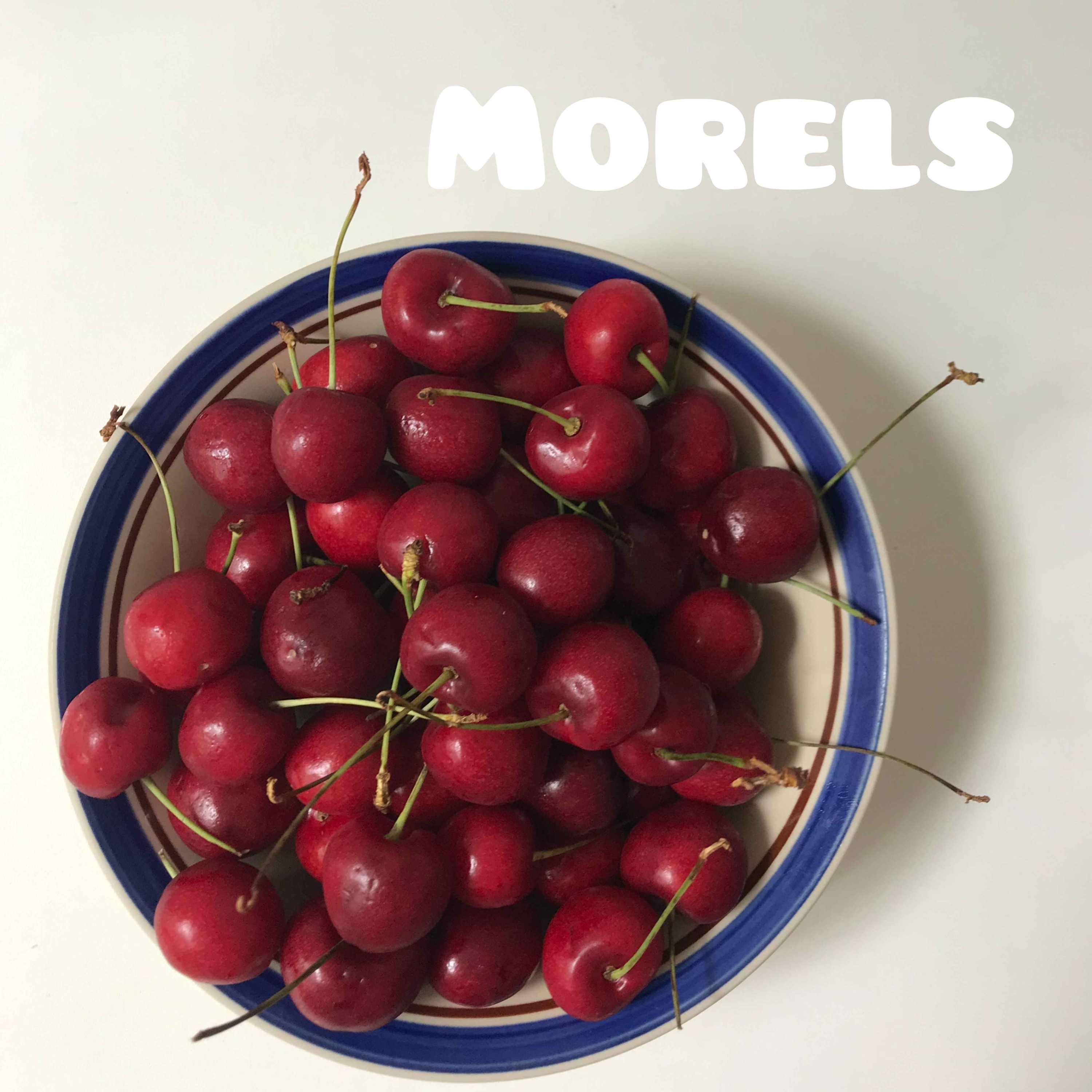 Morels episode artwork