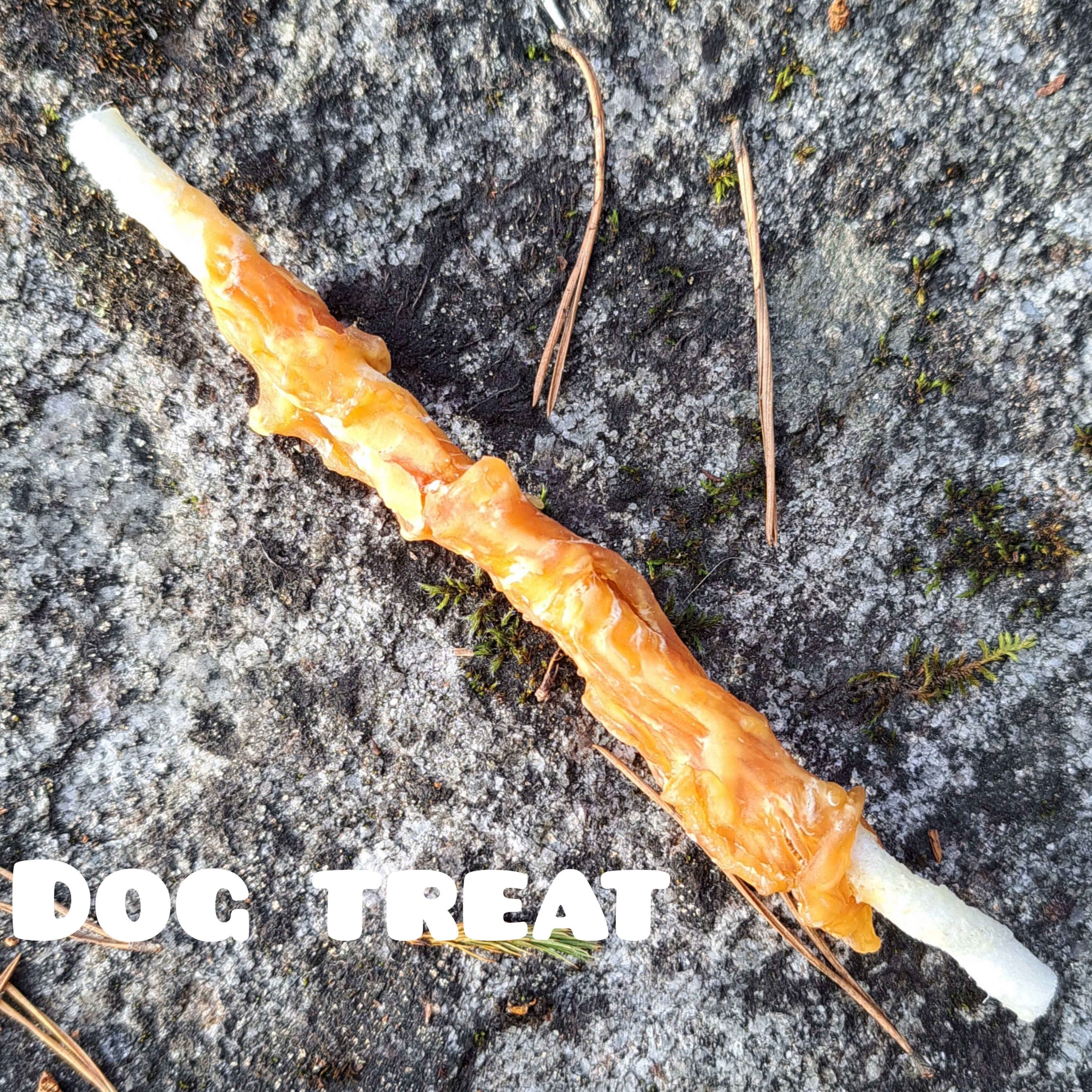 Dog Treat episode artwork