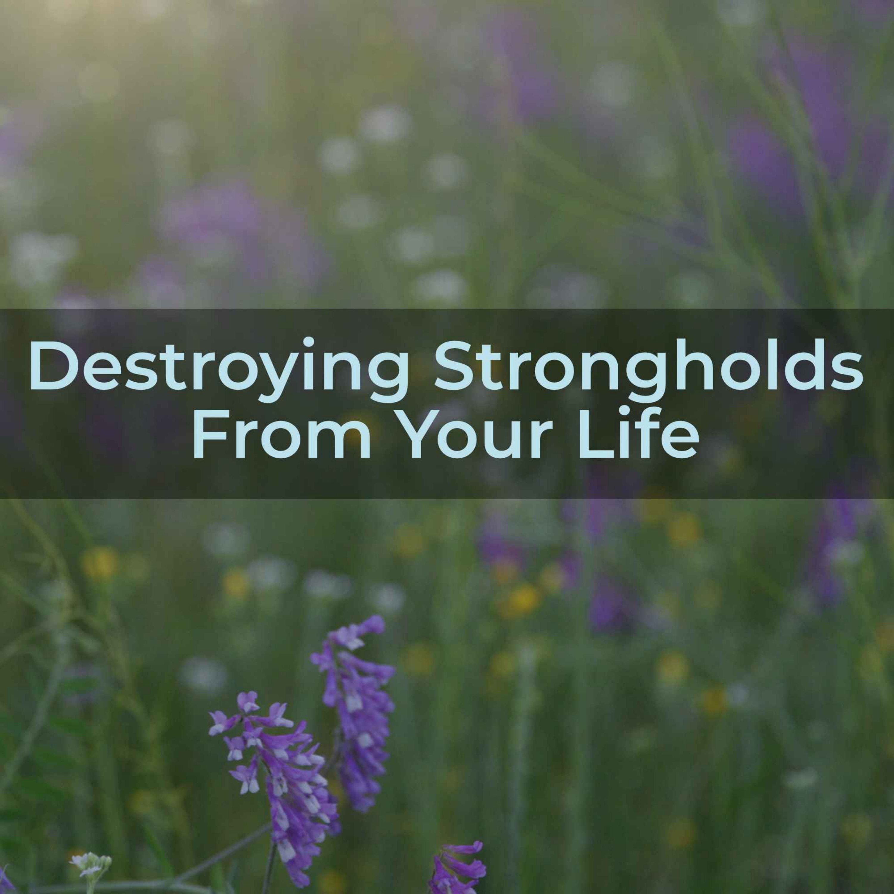 Destroying Strongholds  From Your Life