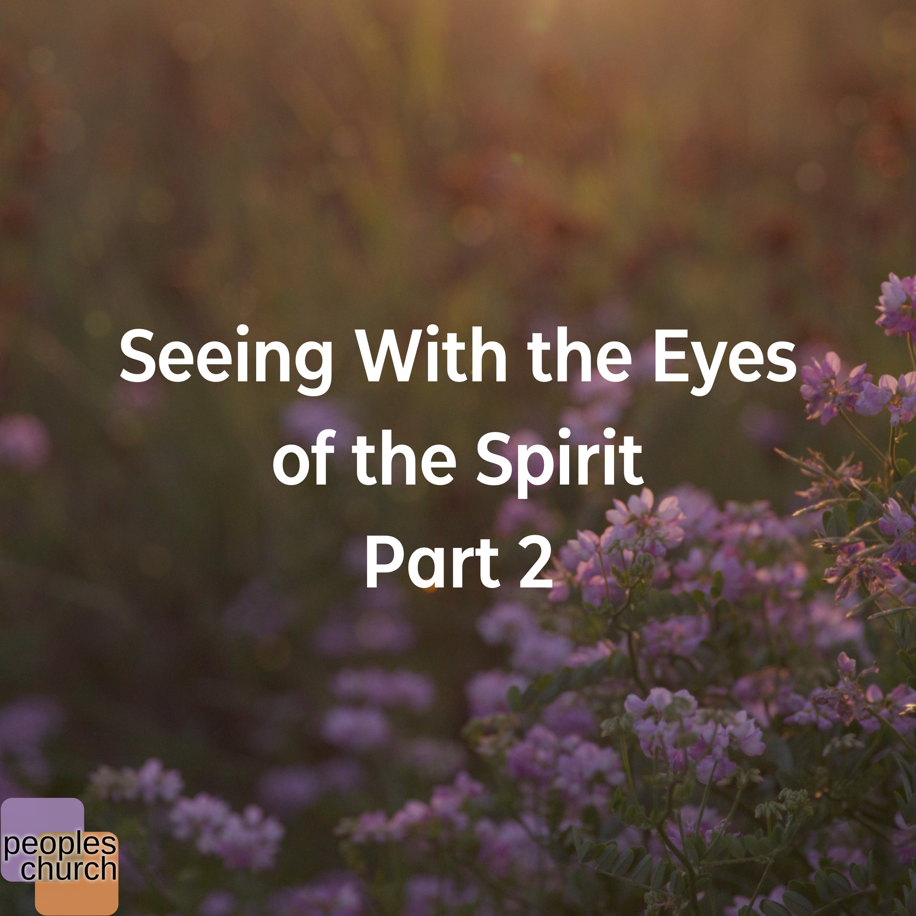 Seeing with the Eyes of the Spirit Pt 2