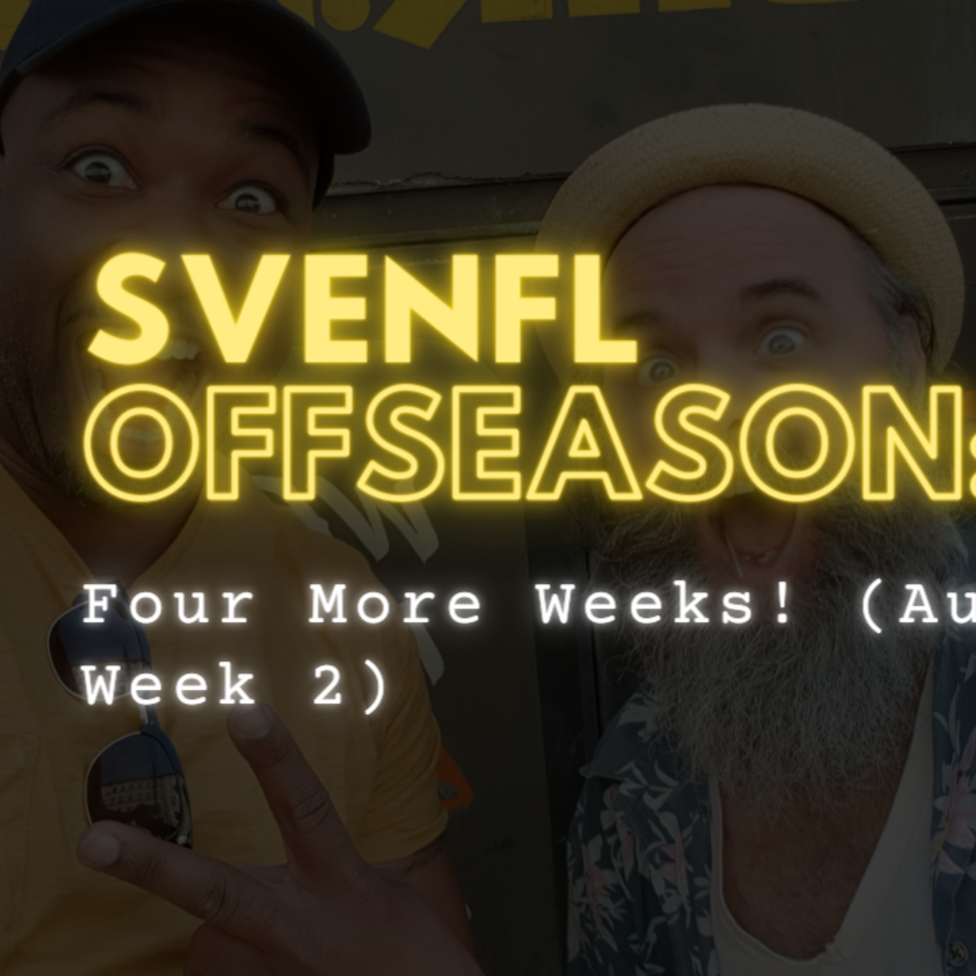 SveNFL Offseason Update August Week 2