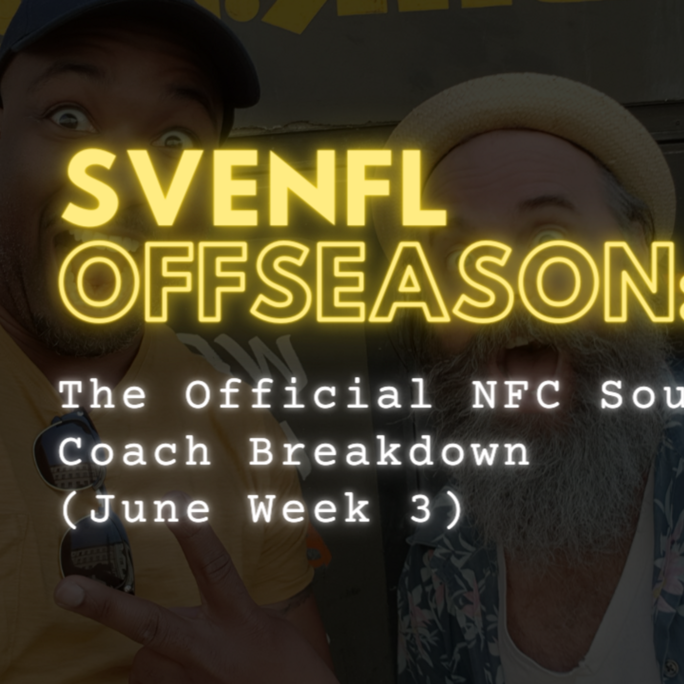 The SveNFL NFC South Coach Breakdown Episode