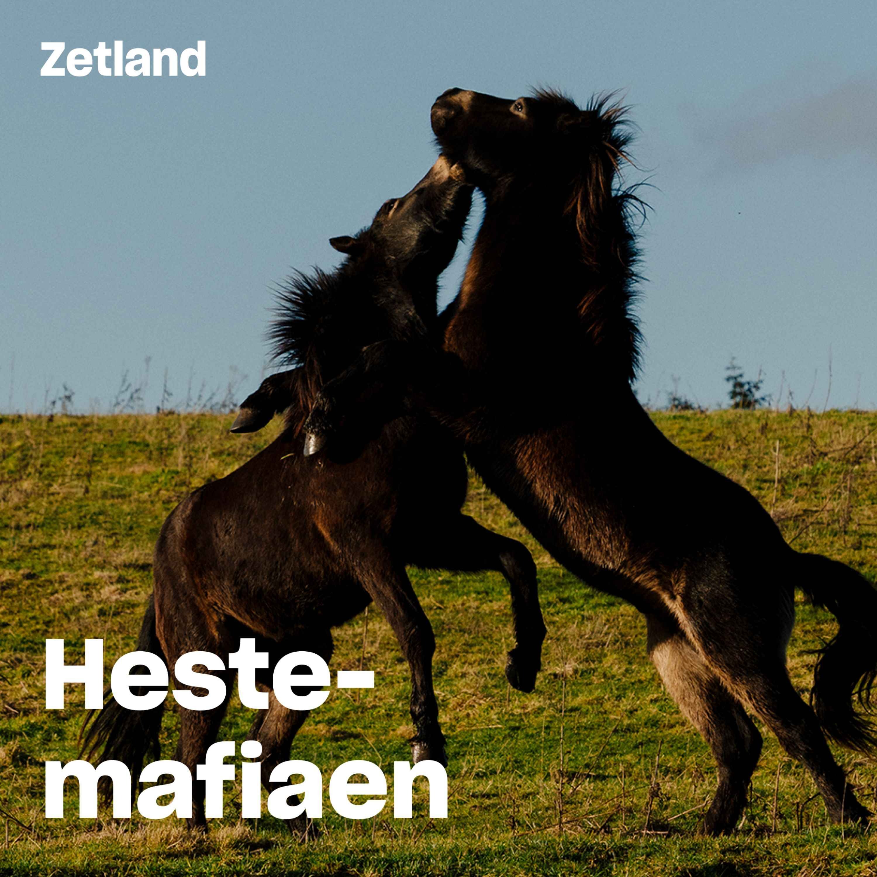 Trailer: Hestemafiaen