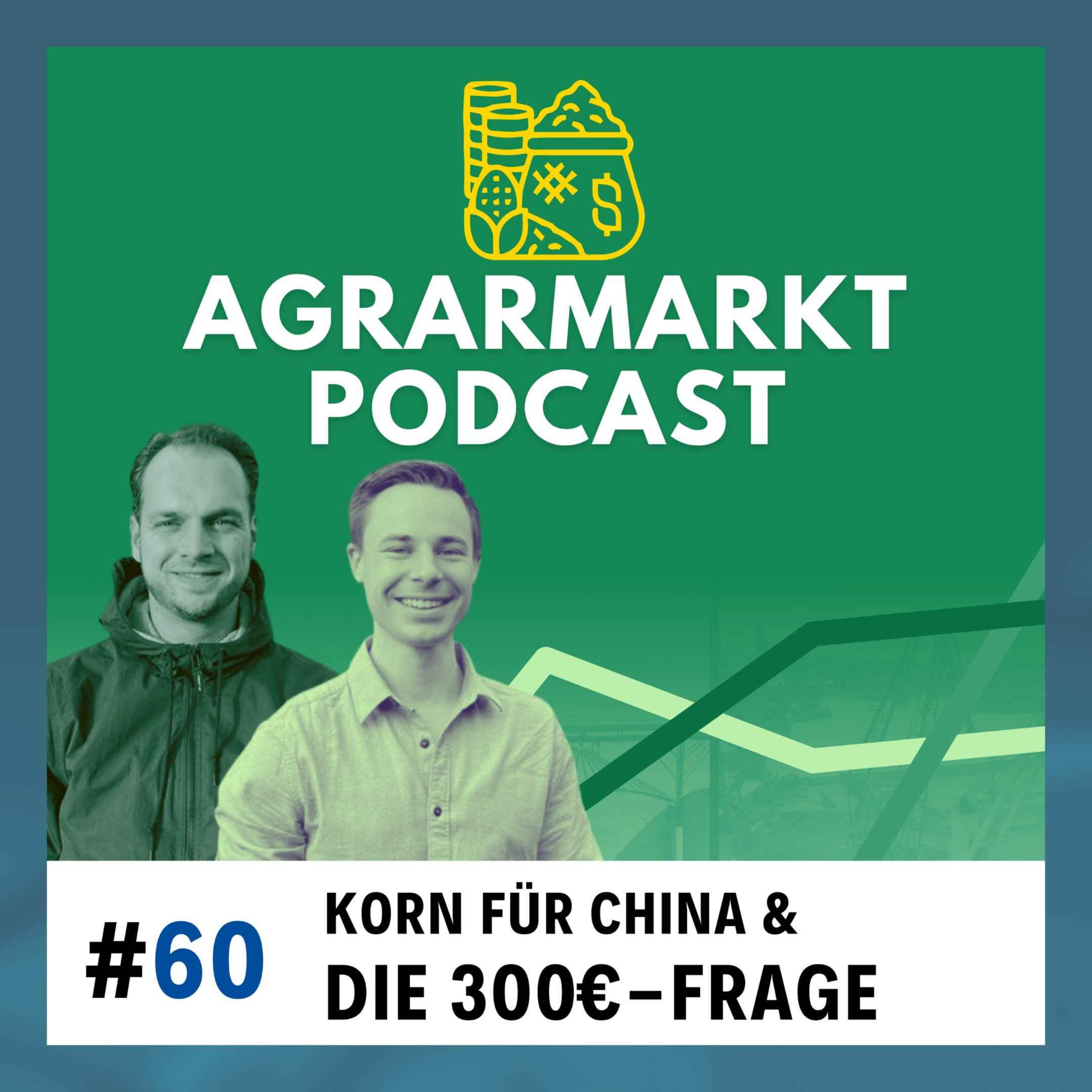 Die 300€-Frage