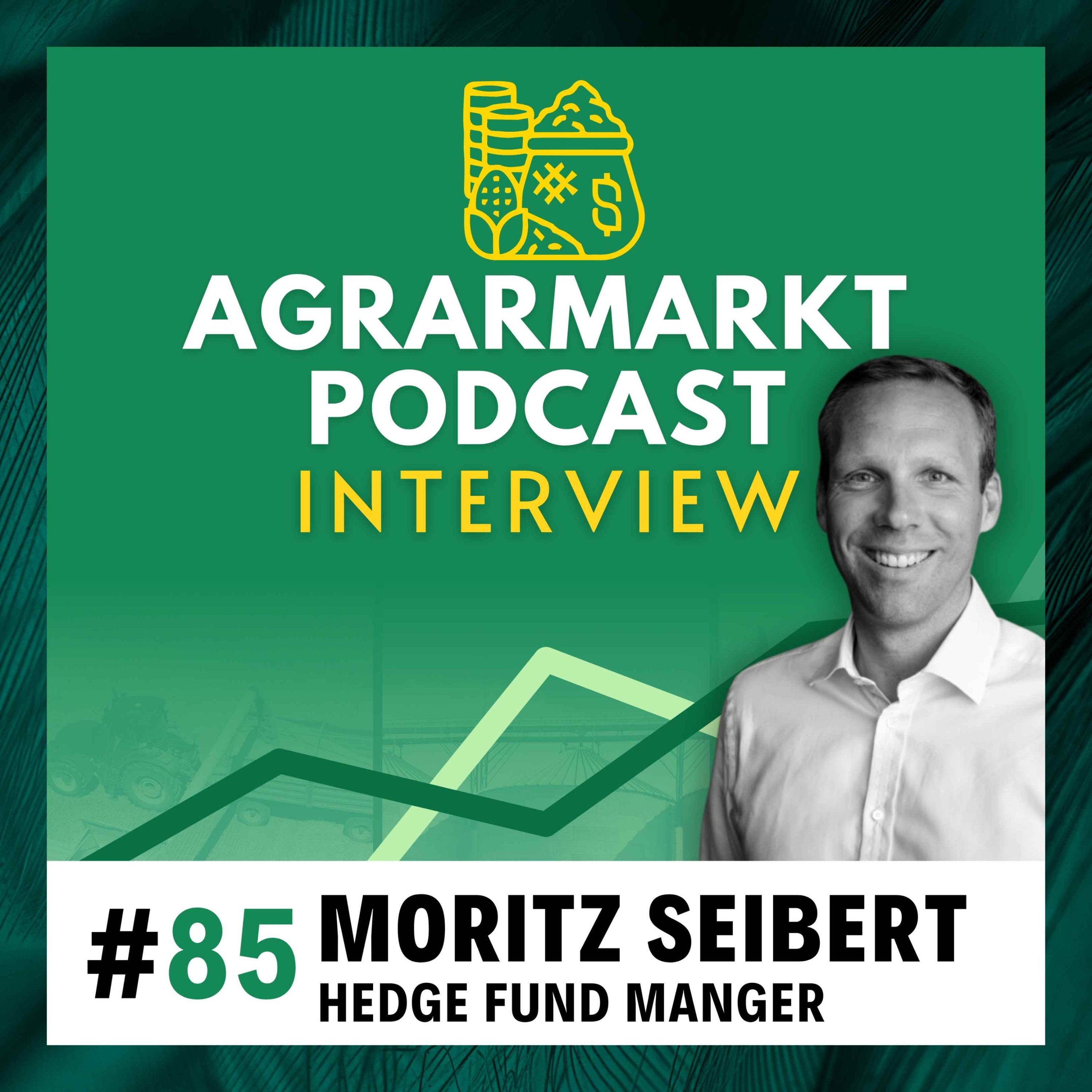 cover art for 🏦 Hedgefonds Manager Moritz Seibert: Strategien der Spekulanten