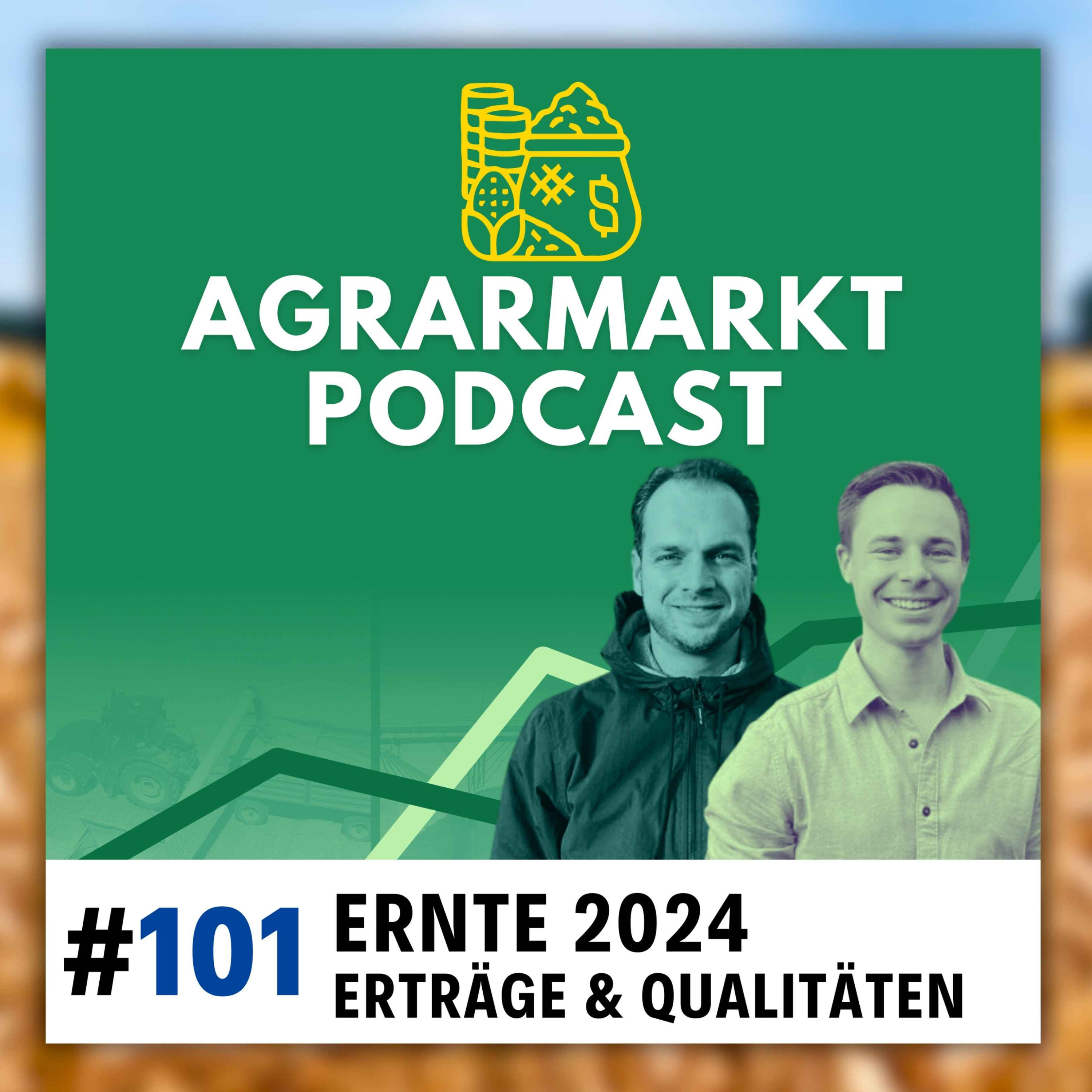 Ernte 2024: Überblick zu Erträge & Qualitäten von Raps + Weizen