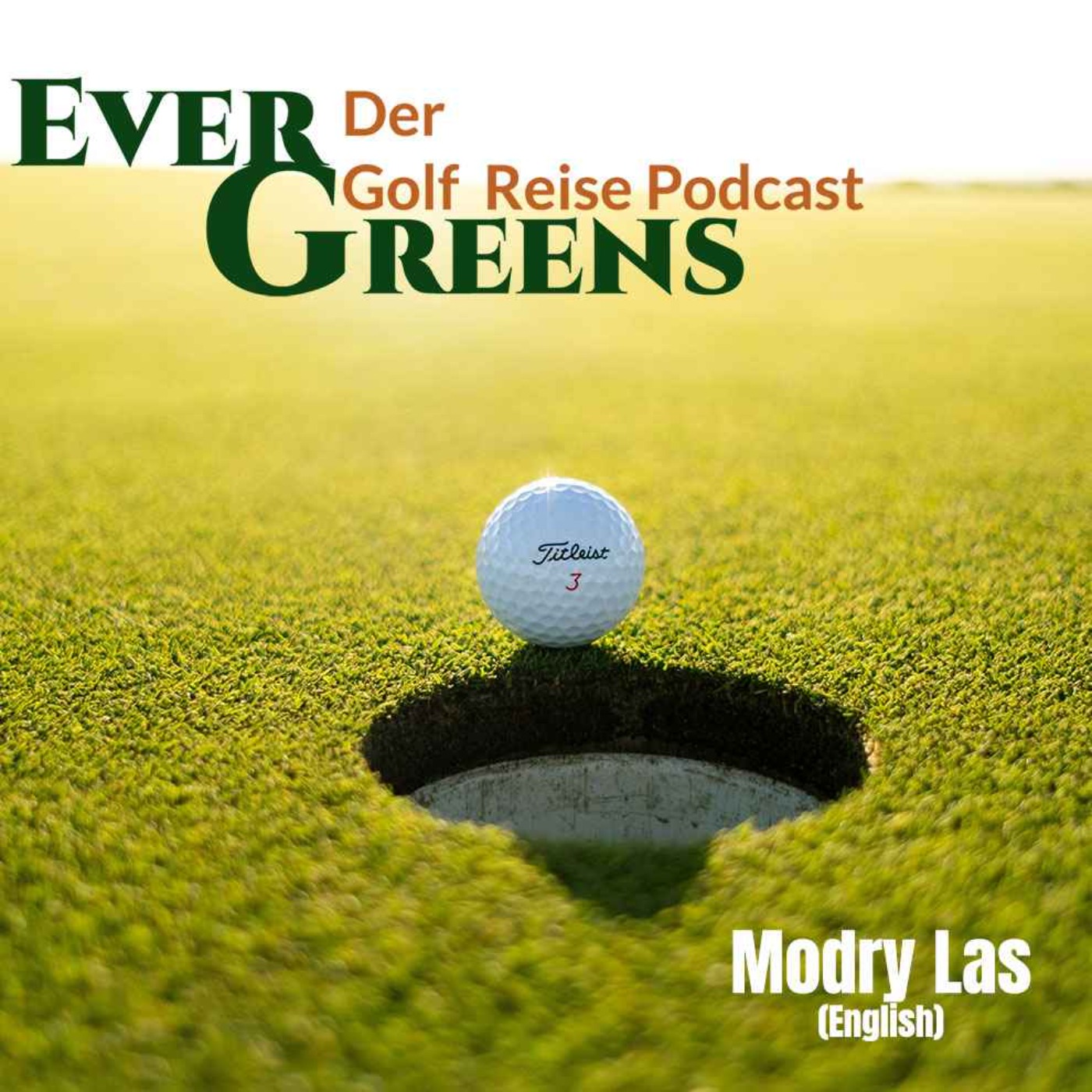 Episode 13: Modry Las (English) episode artwork
