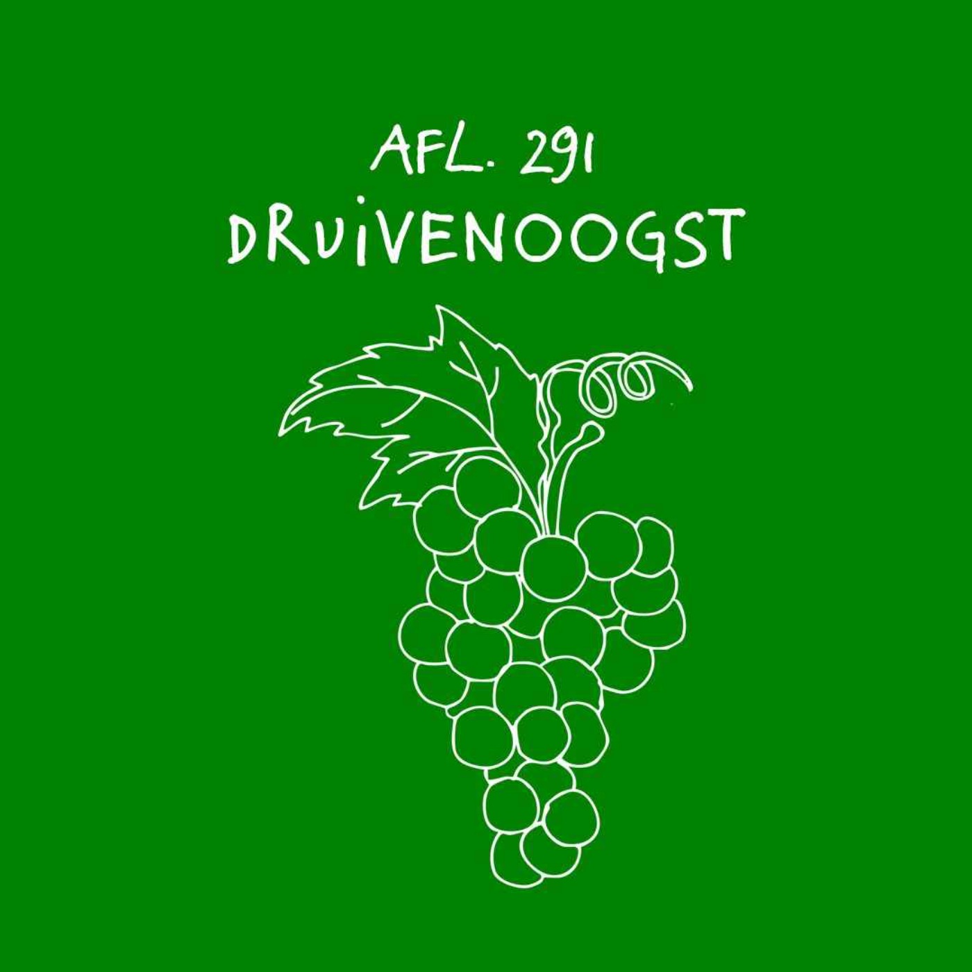 #291 - Druivenoogst