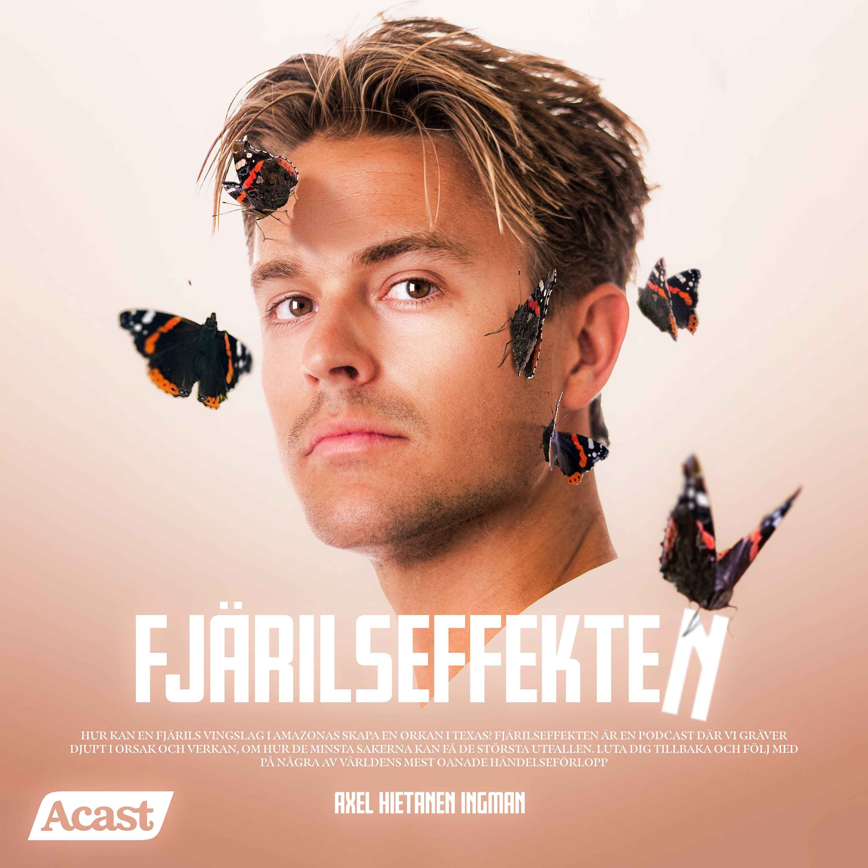 Fjärilseffekten