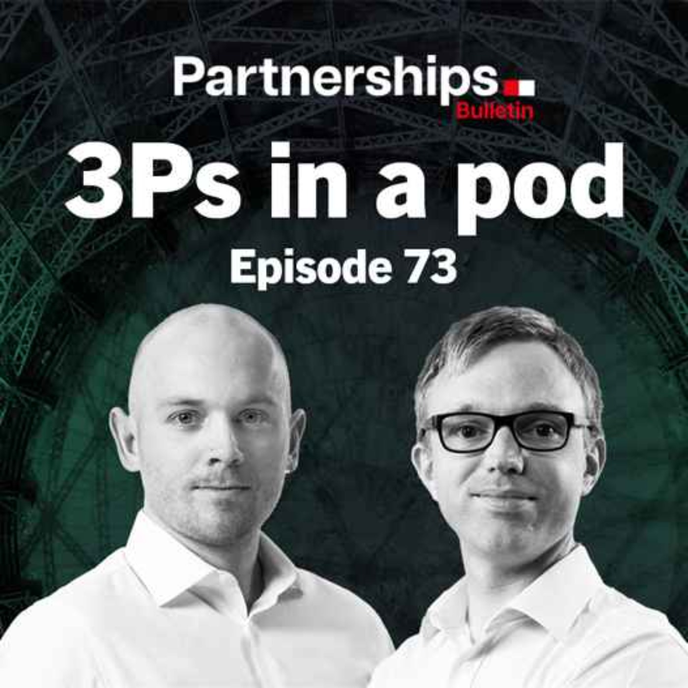 How is New Zealand shaping the PPP world, and is it all that it seems?