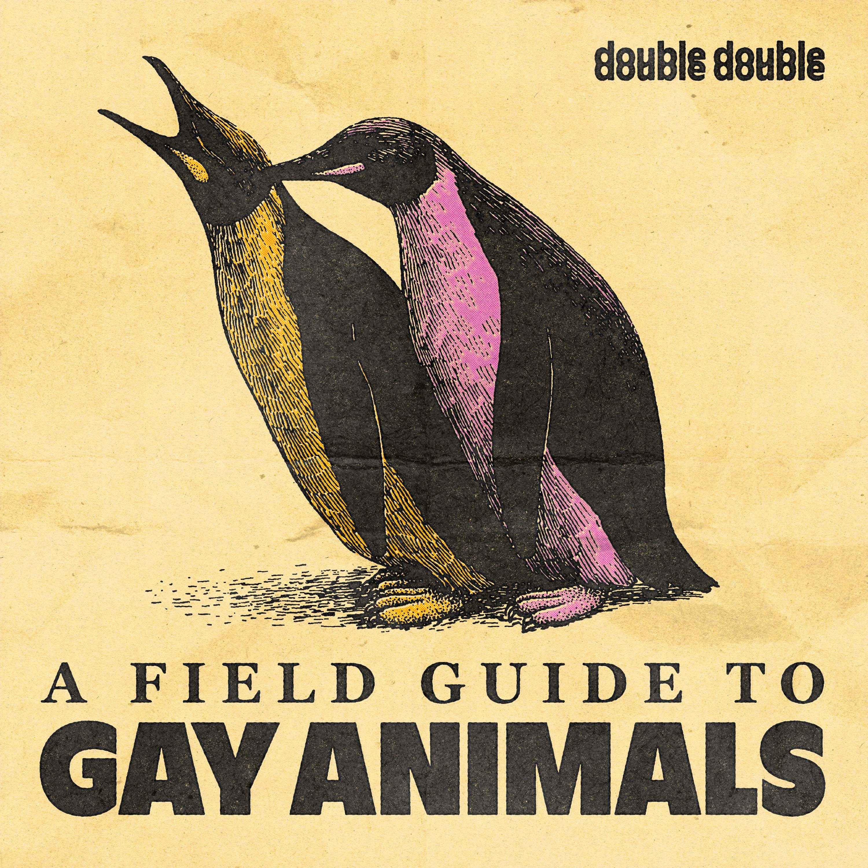 cover art for Ep. 2: GAY ARK